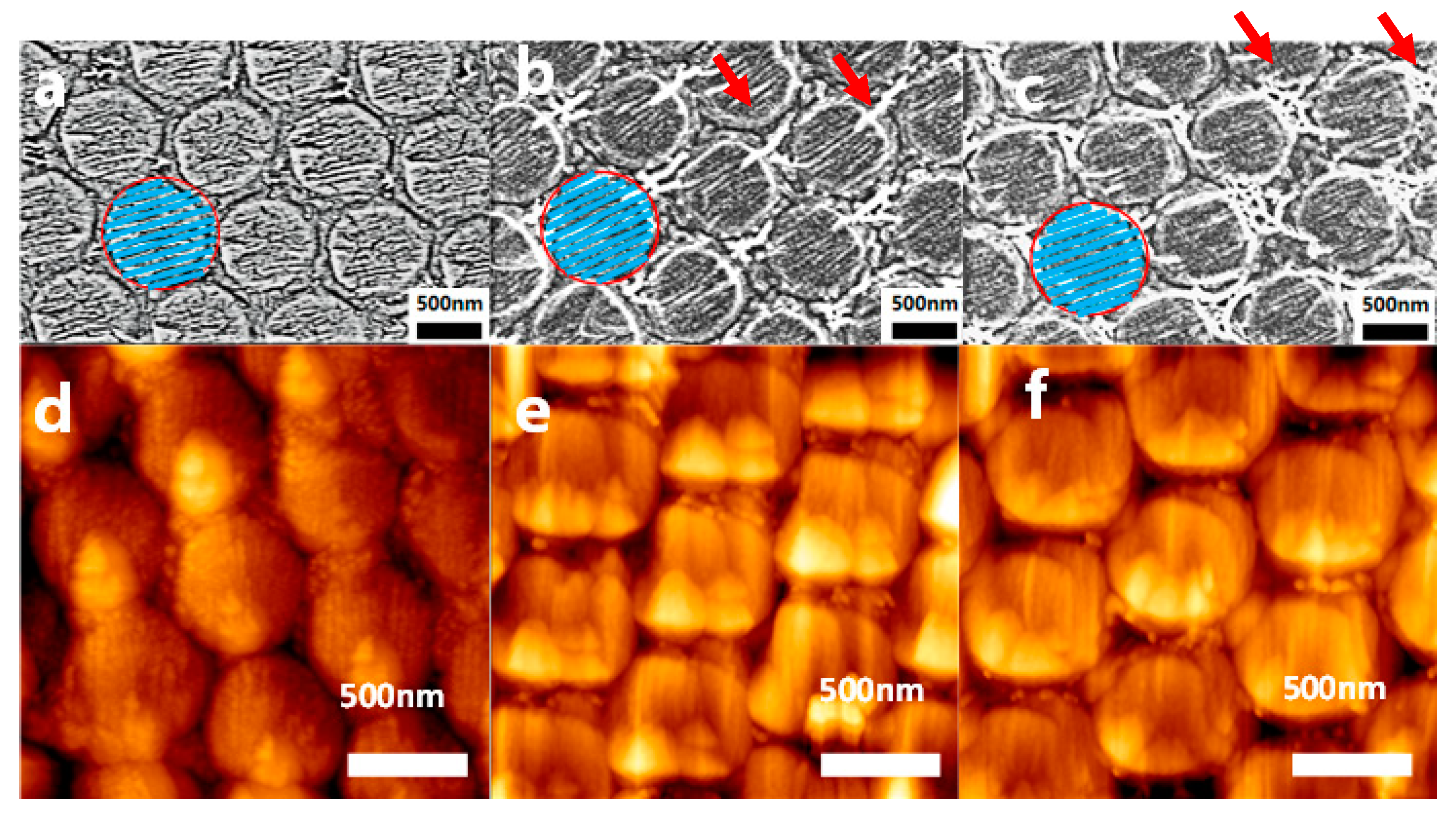 Chemosensors 11 00462 g003 550