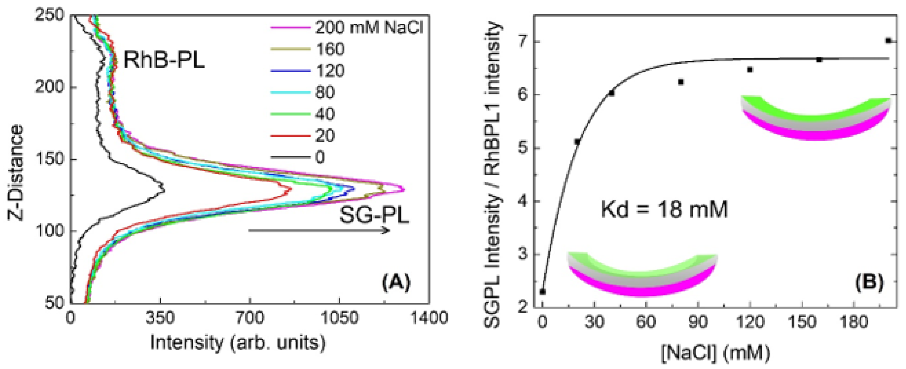 Chemosensors 11 00463 g009