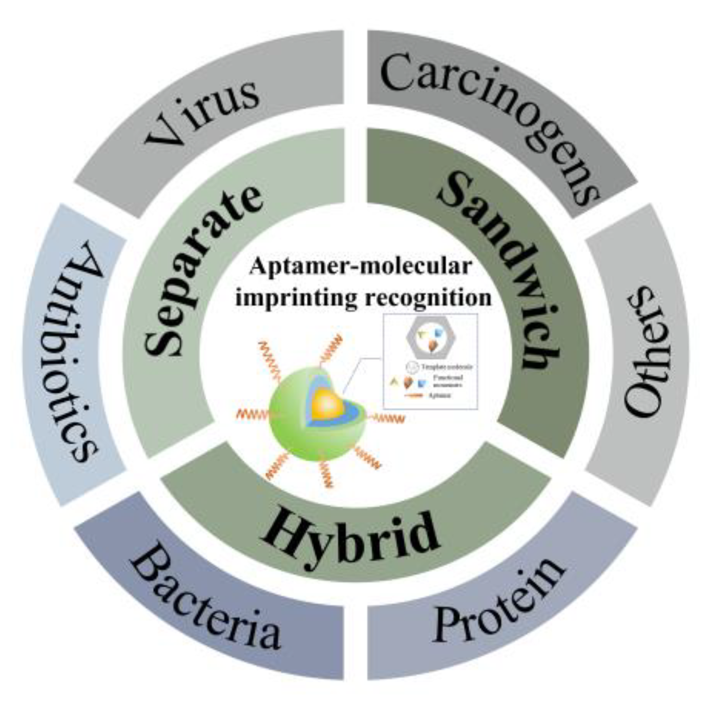 Chemosensors 11 00465 g001