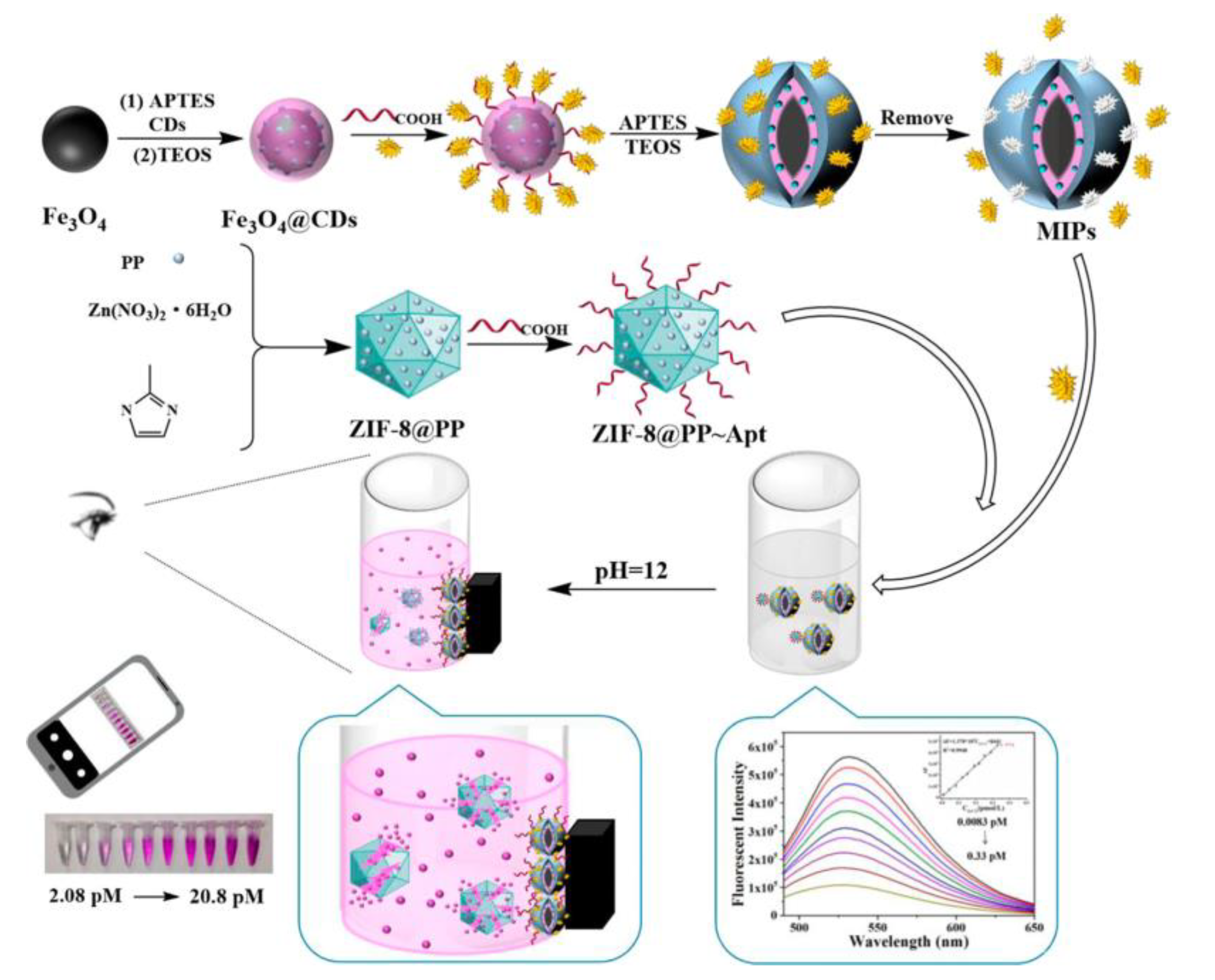 Chemosensors 11 00465 g002