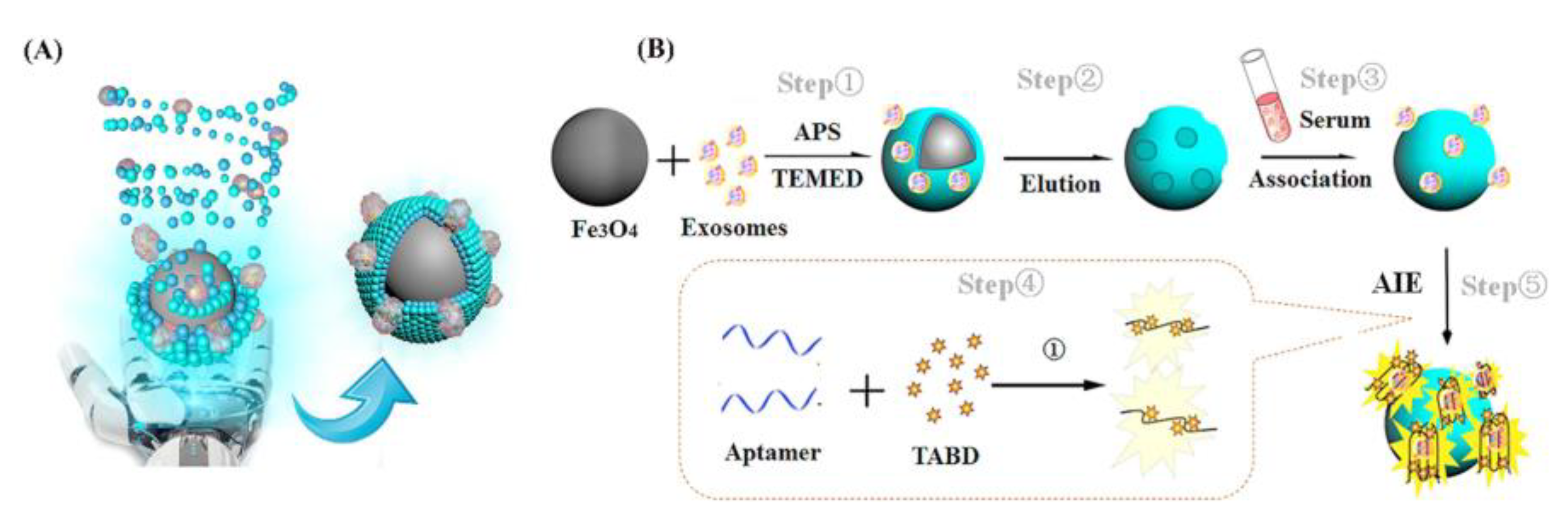 Chemosensors 11 00465 g003