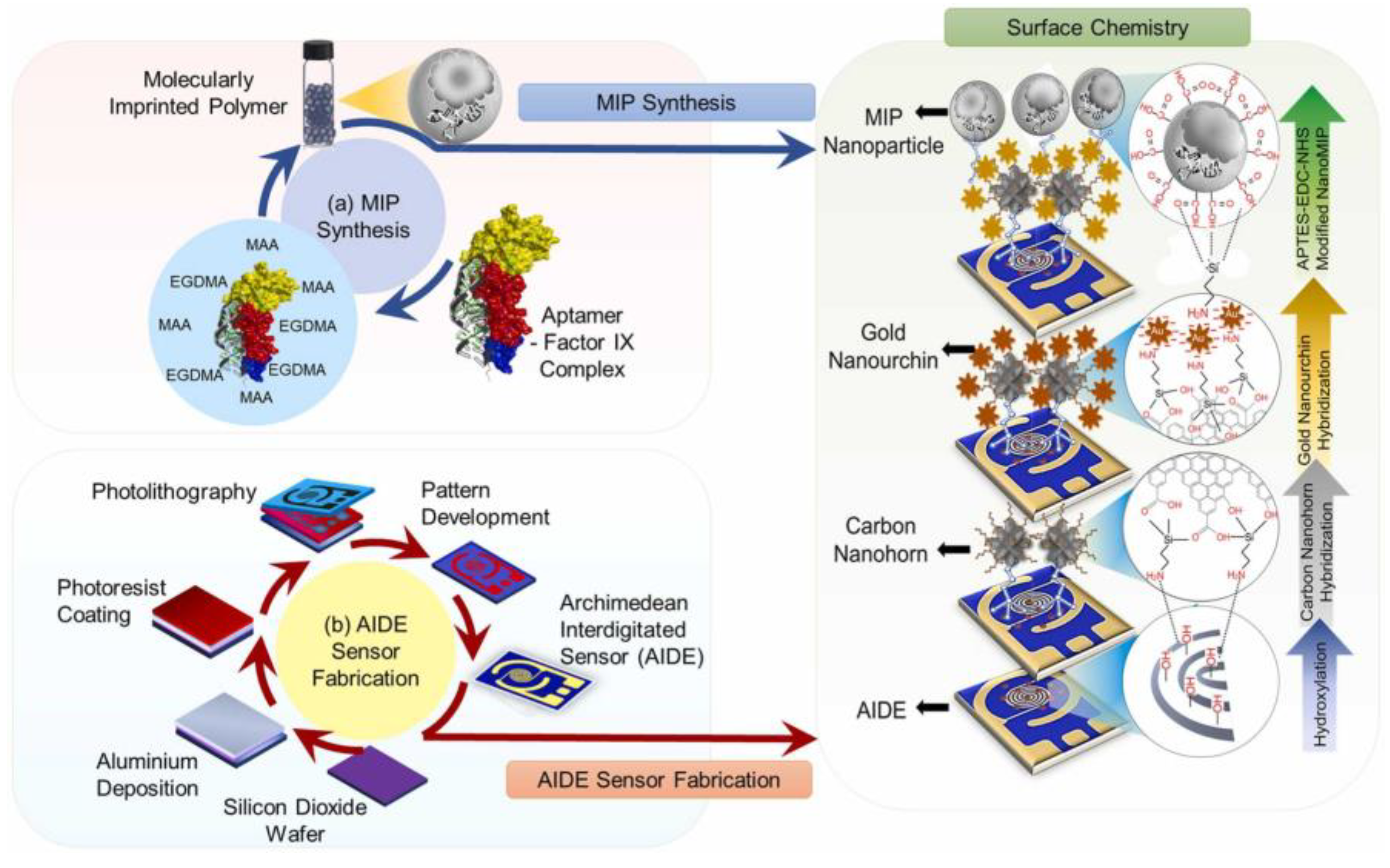 Chemosensors 11 00465 g005
