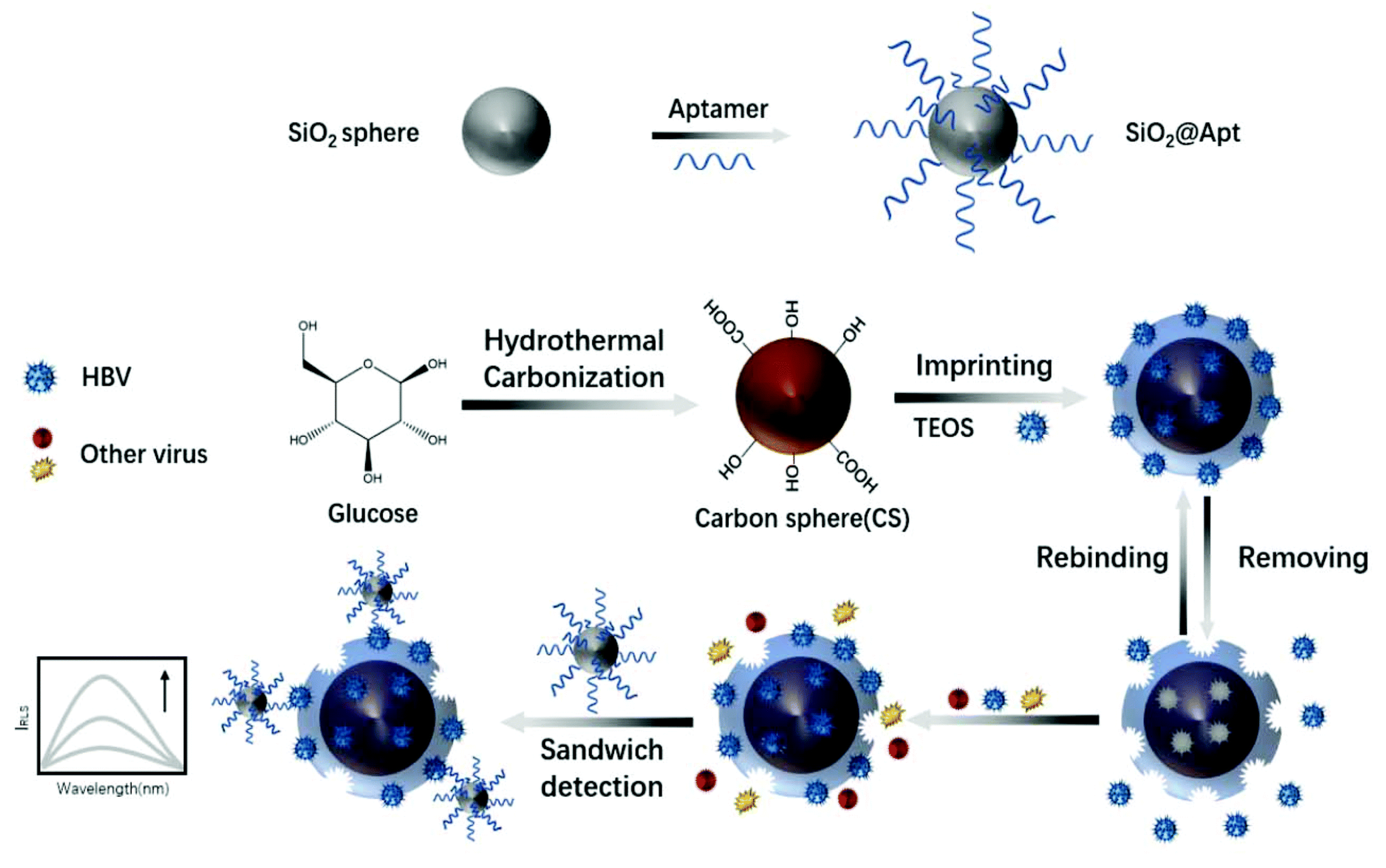 Chemosensors 11 00465 g006