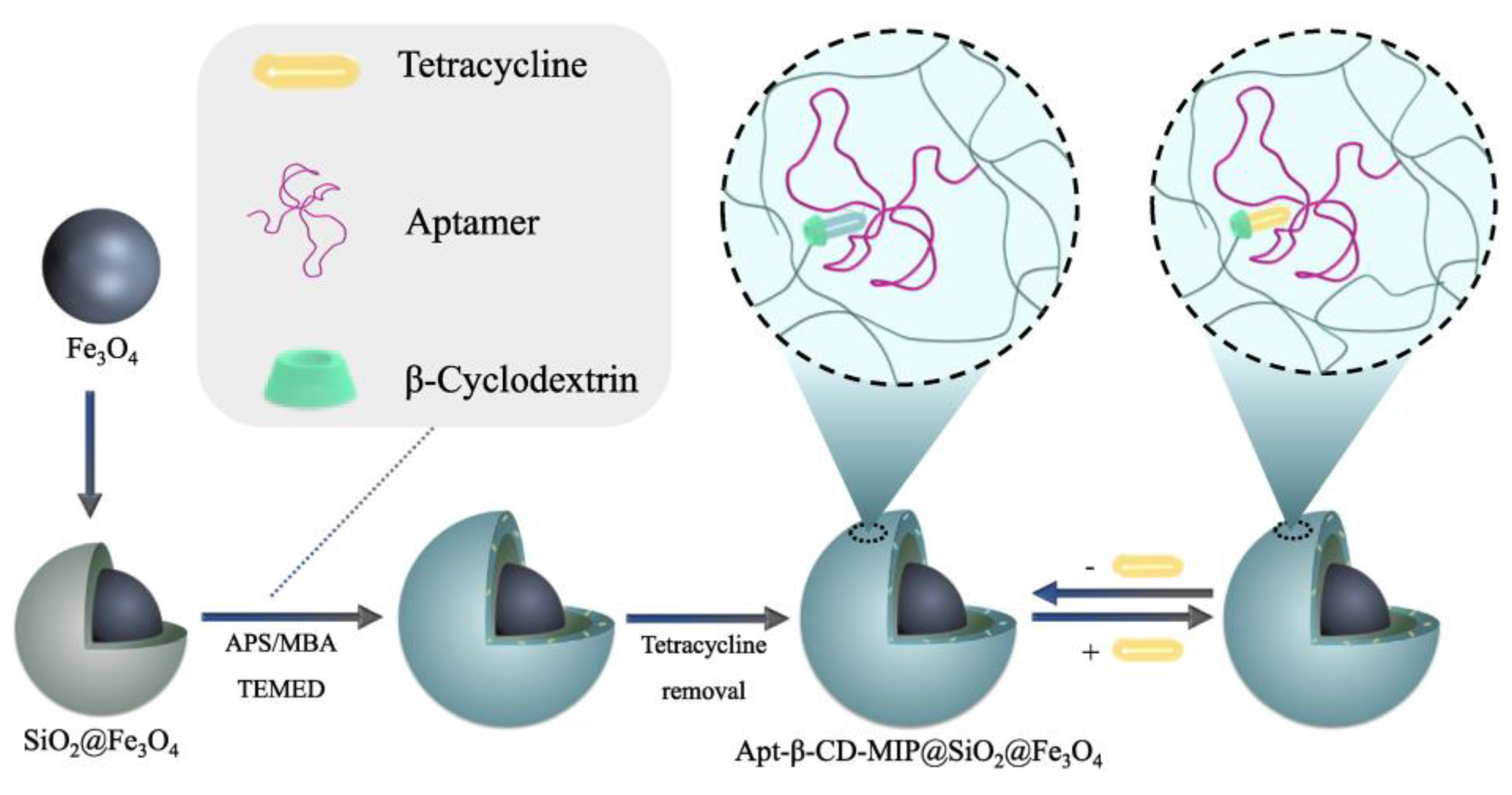 Chemosensors 11 00465 g008