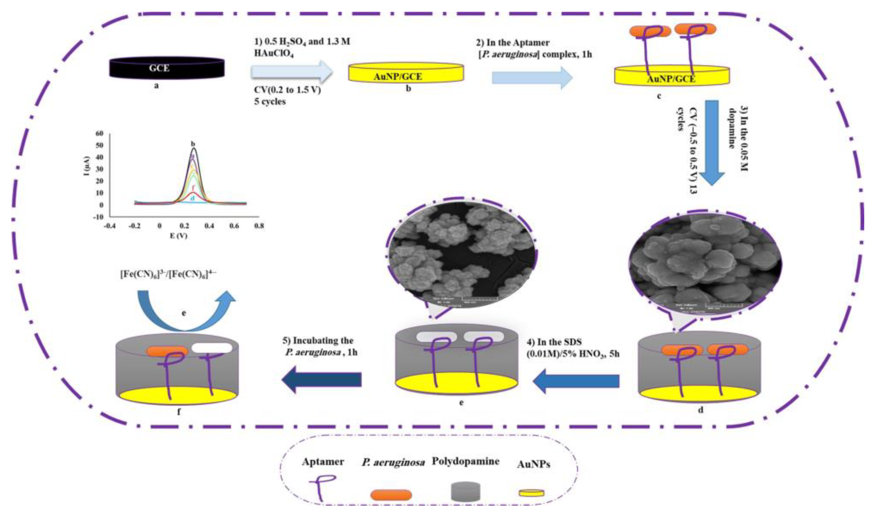 Chemosensors 11 00465 g009