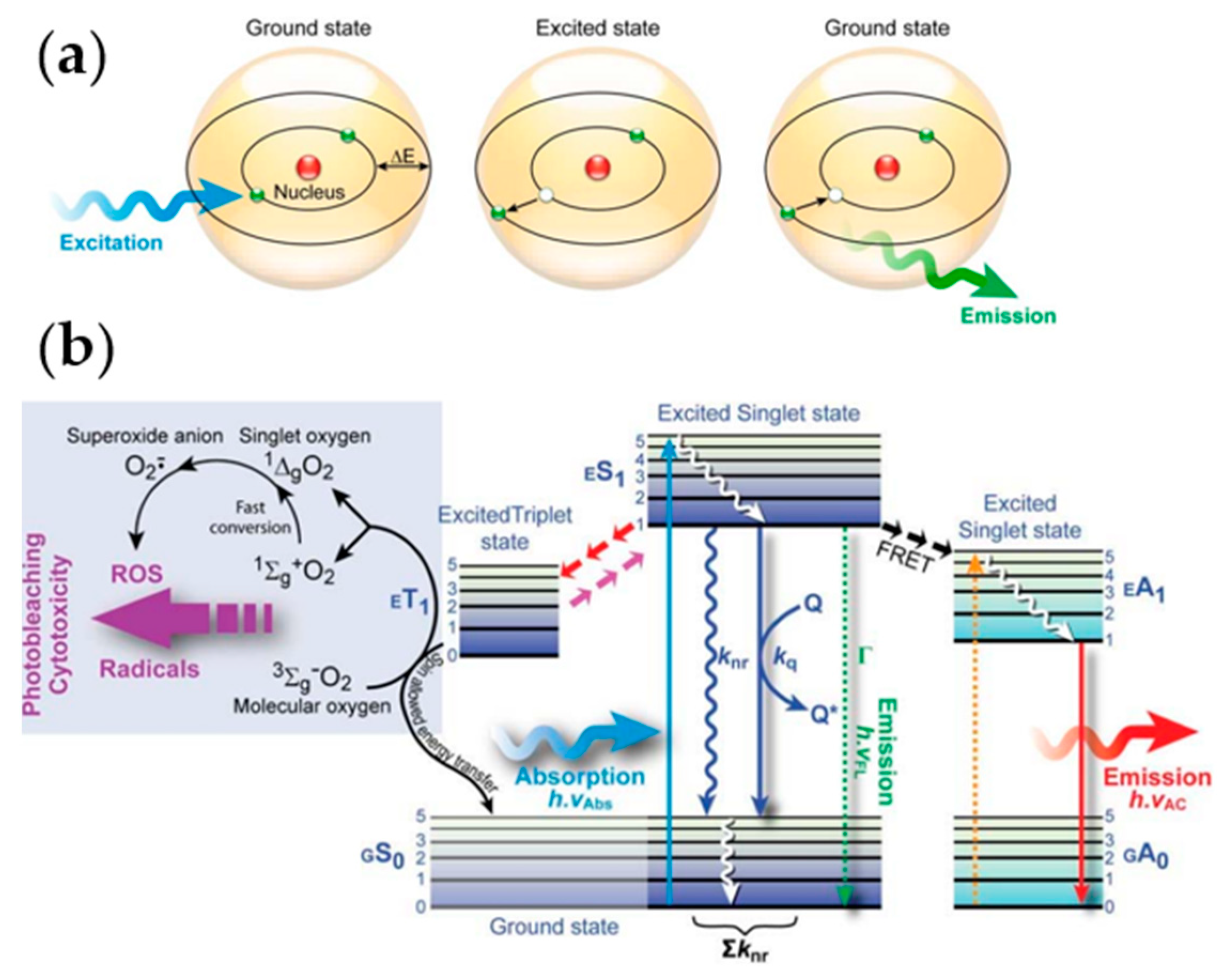 Chemosensors 11 00469 g005