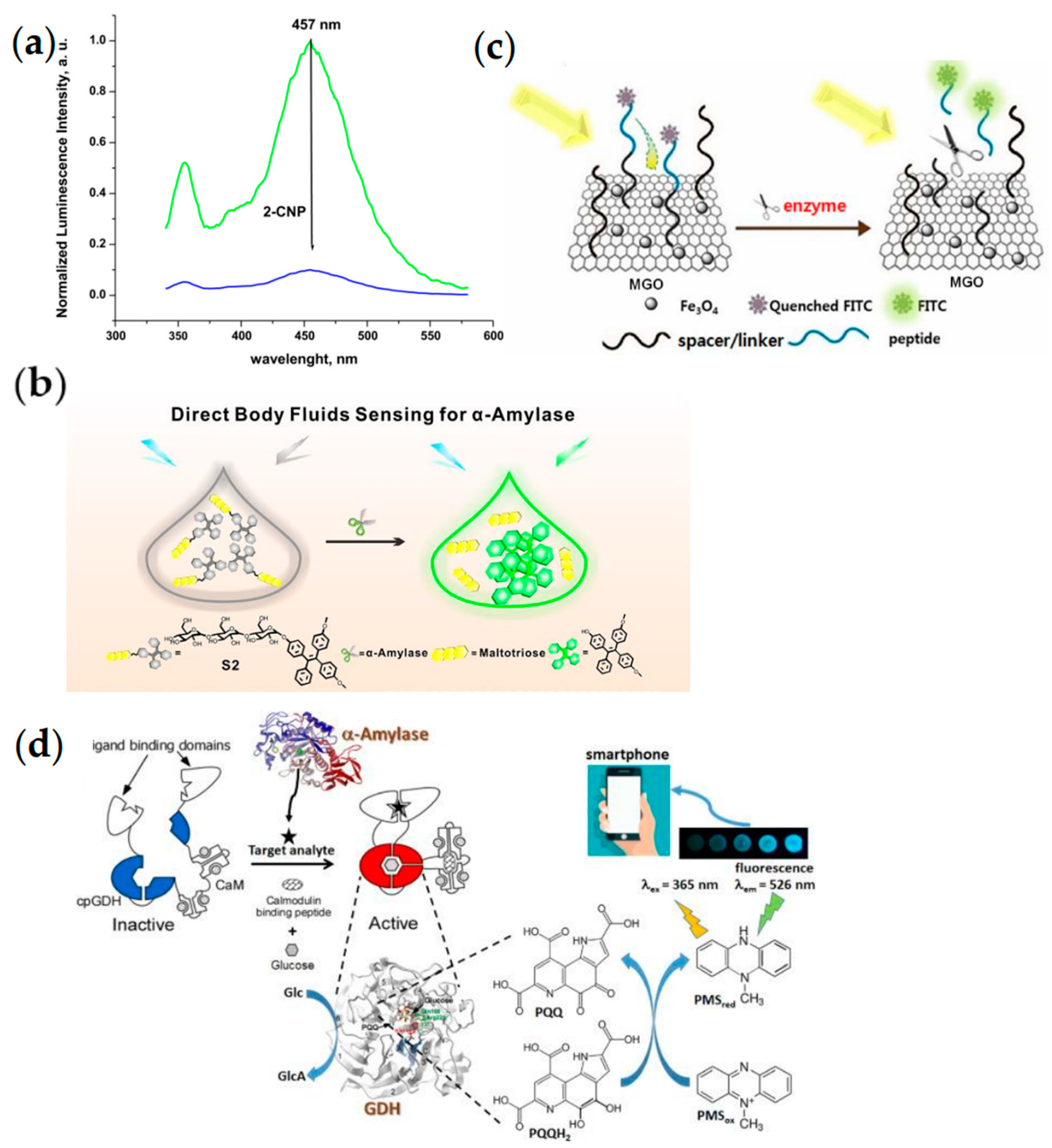 Chemosensors 11 00469 g006