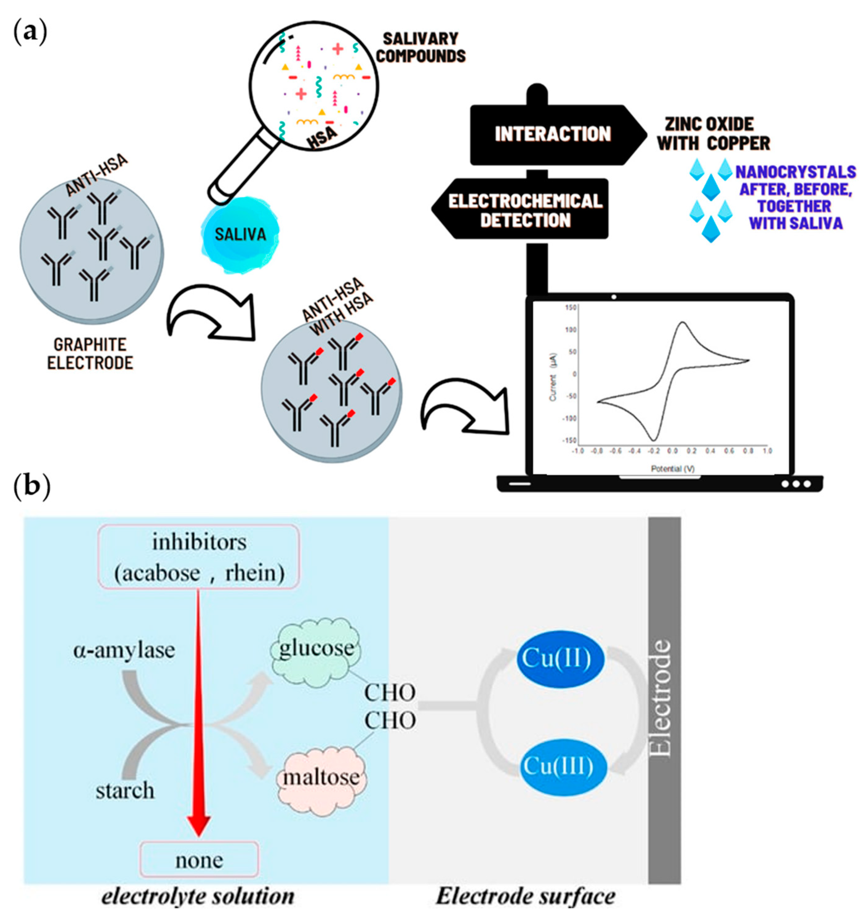 Chemosensors 11 00469 g010