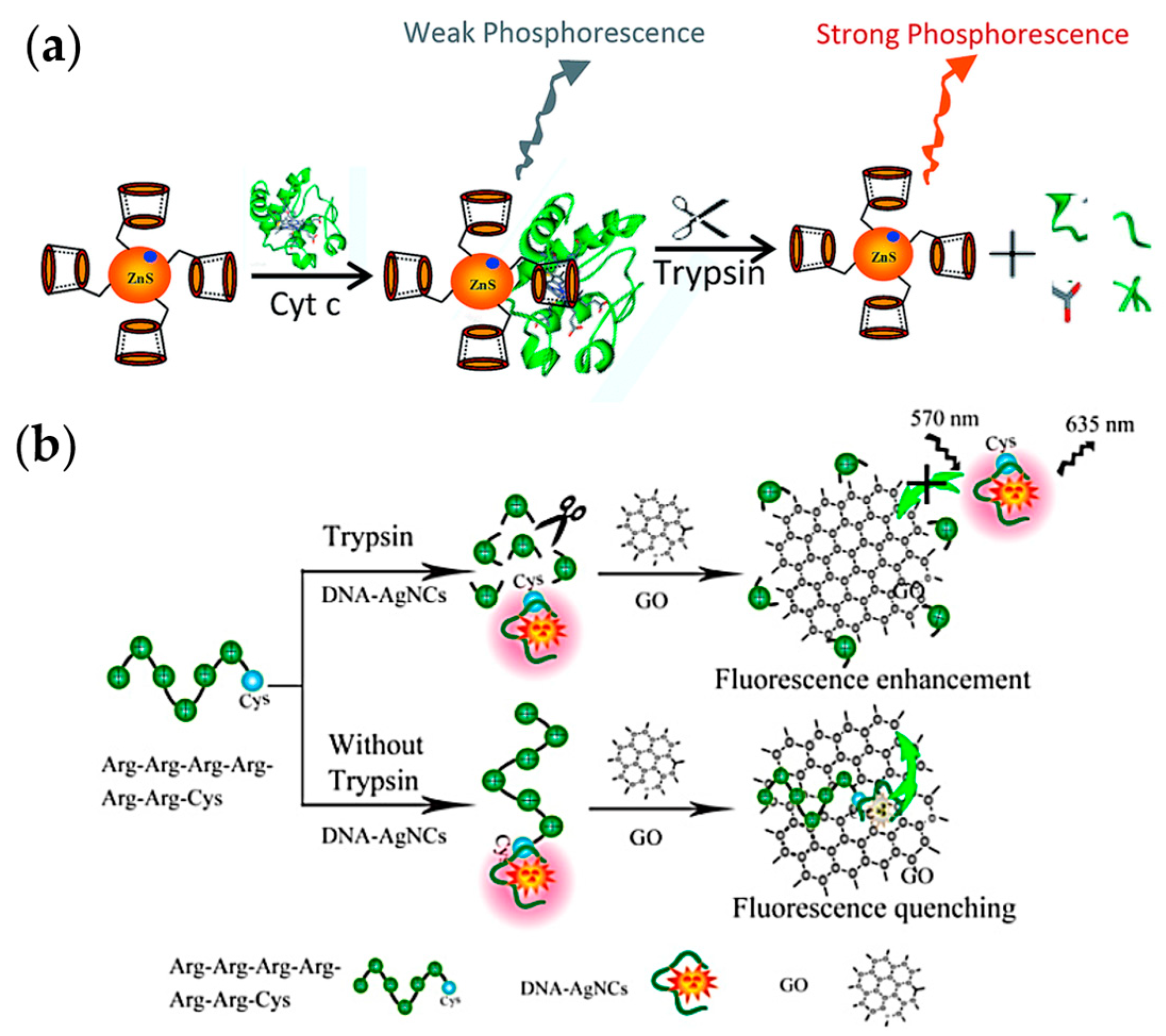 Chemosensors 11 00469 g012
