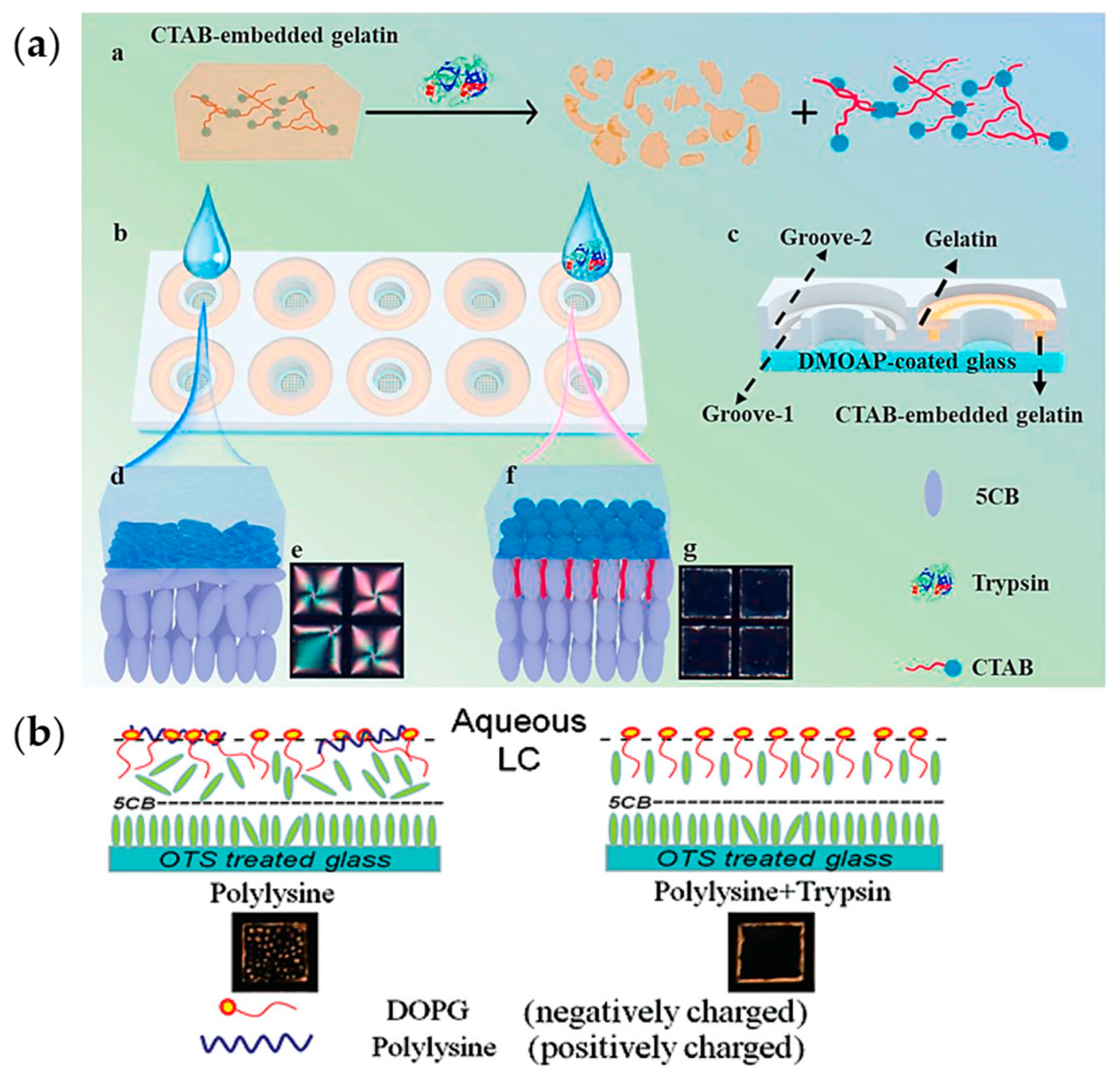 Chemosensors 11 00469 g014