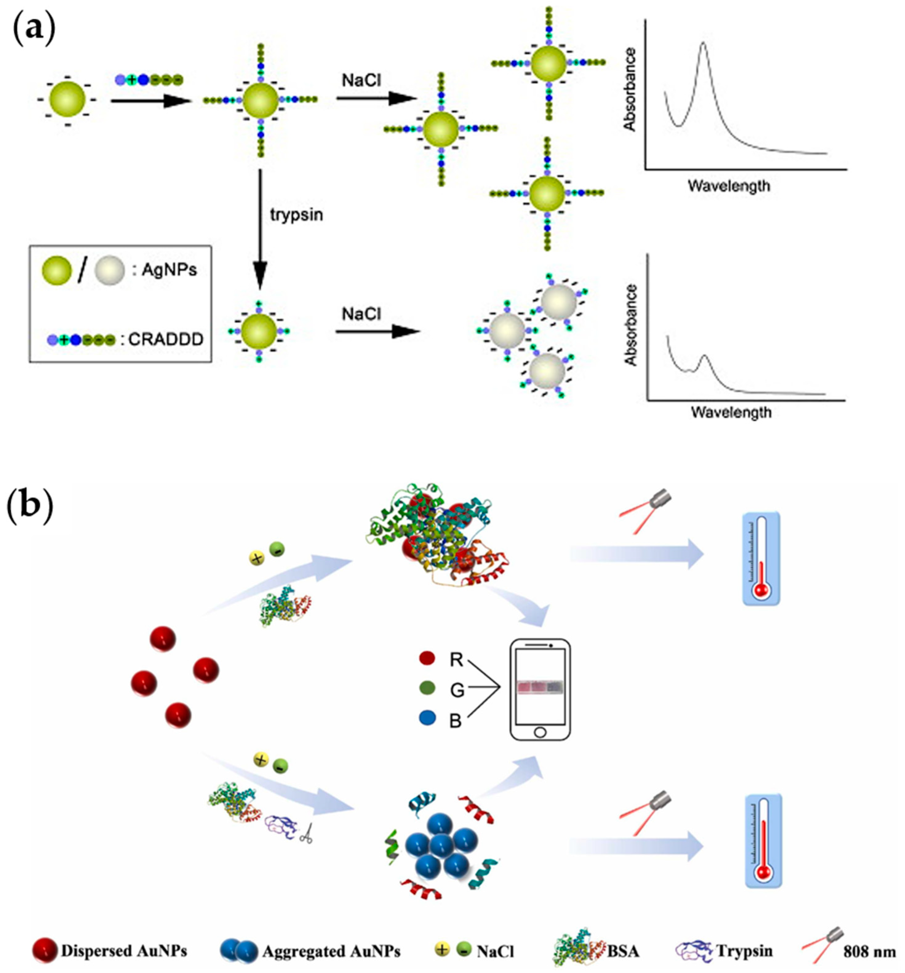 Chemosensors 11 00469 g015