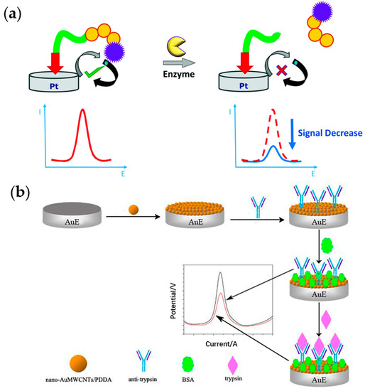 Sensing of Digestive Enzymes—Diagnosis and Monitoring of