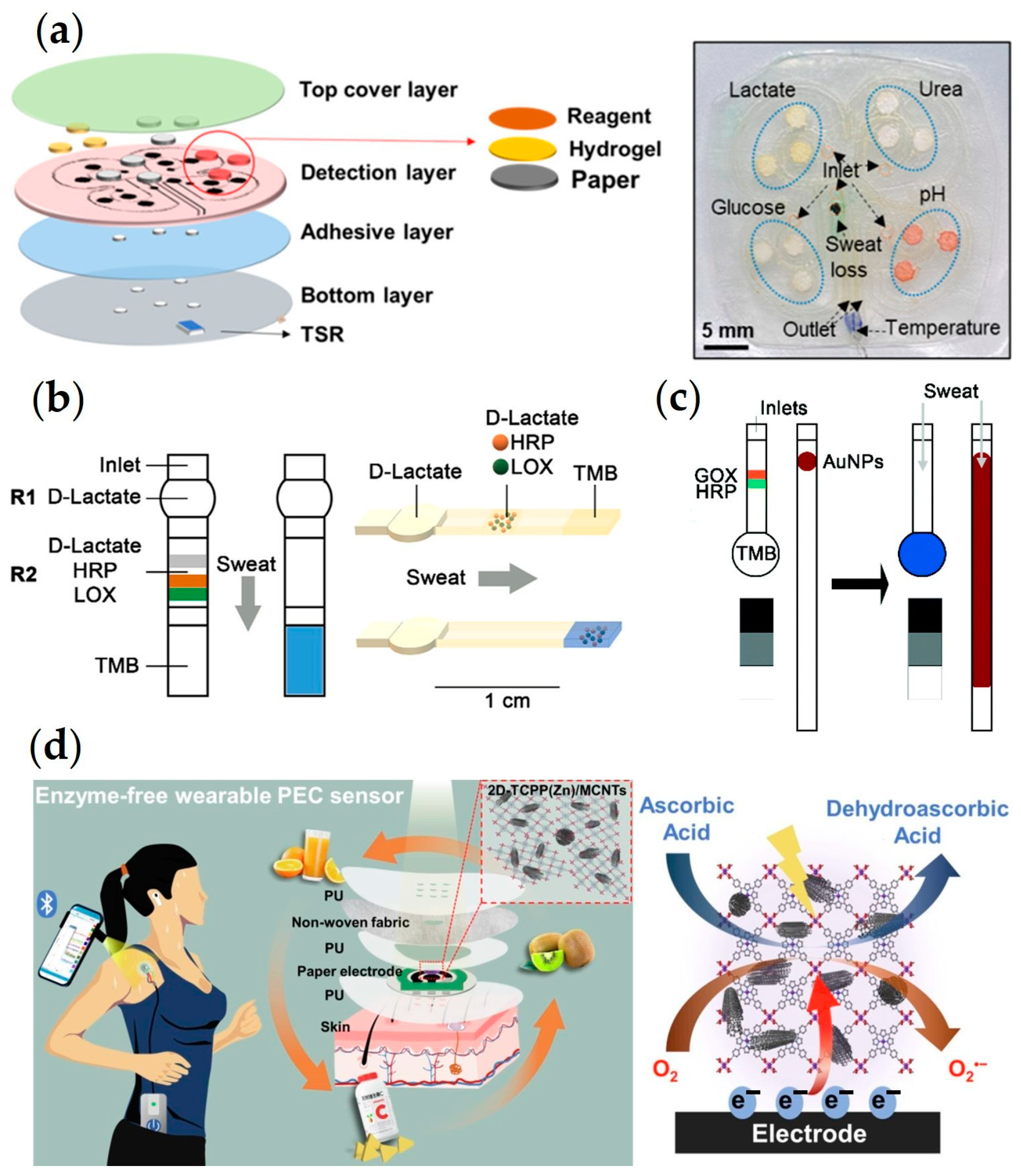 Chemosensors 11 00470 g002