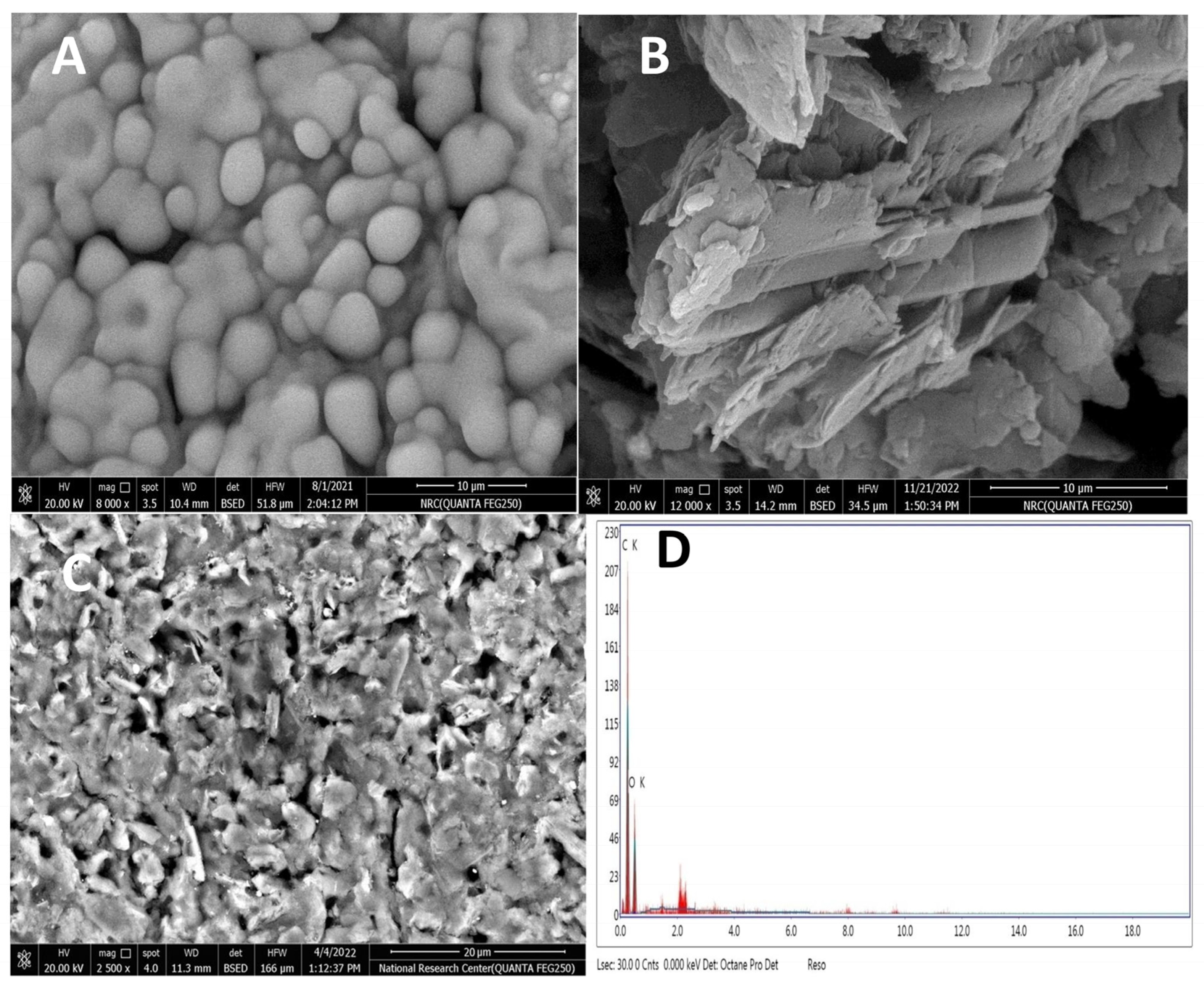 Chemosensors 11 00471 g002