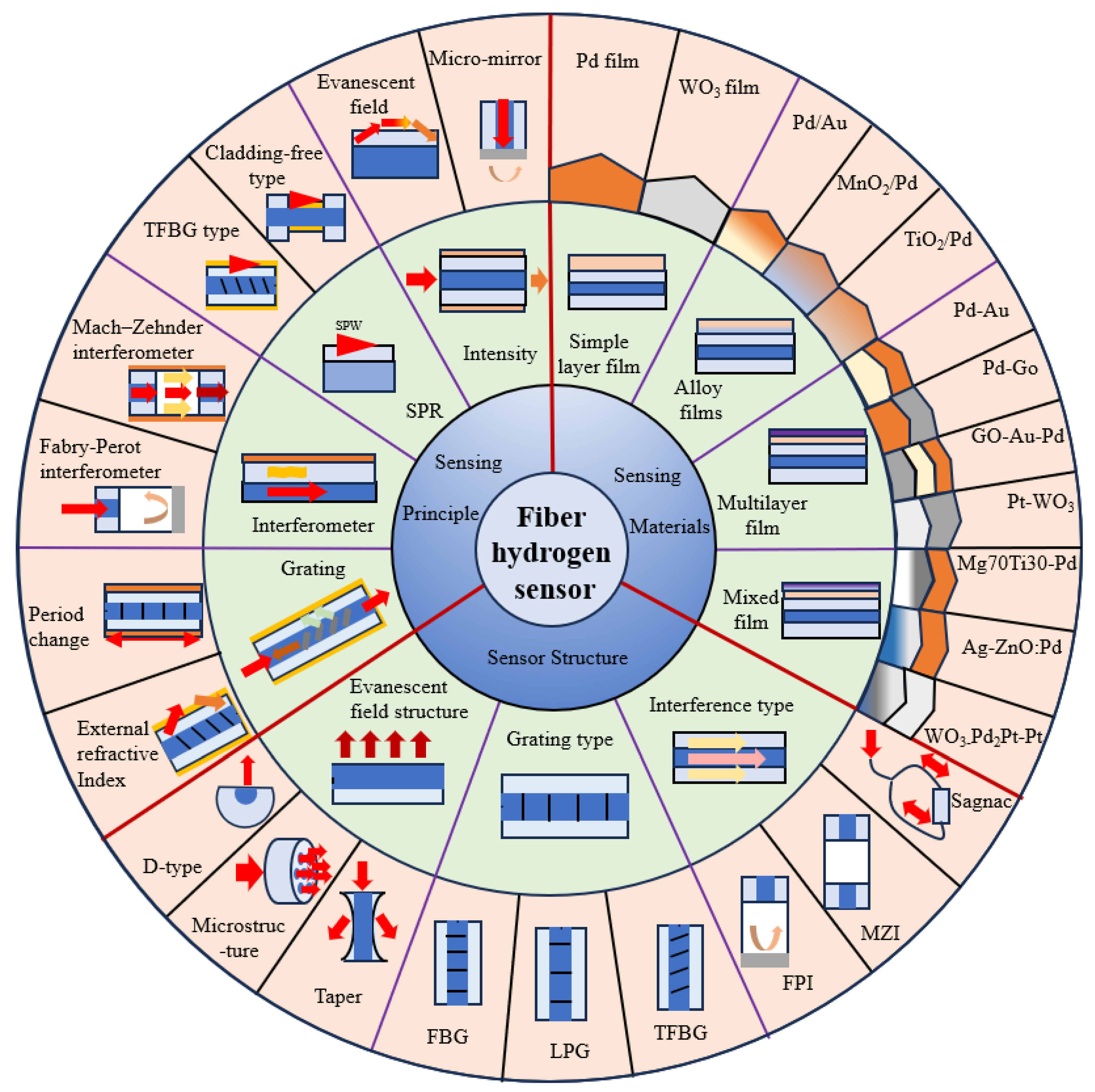 Chemosensors 11 00473 g001