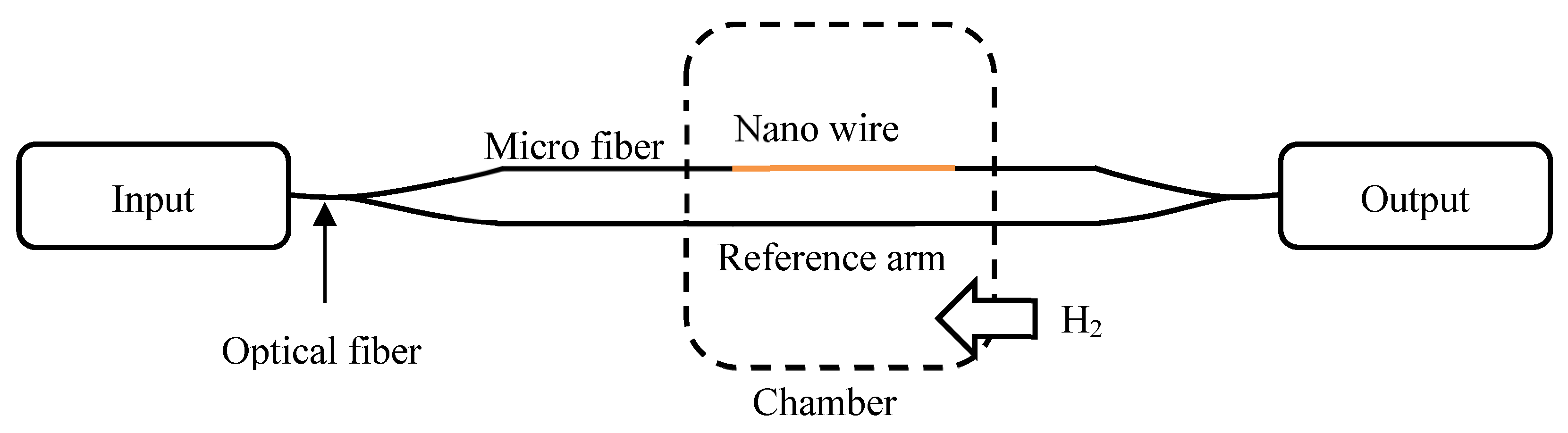 Chemosensors 11 00473 g006