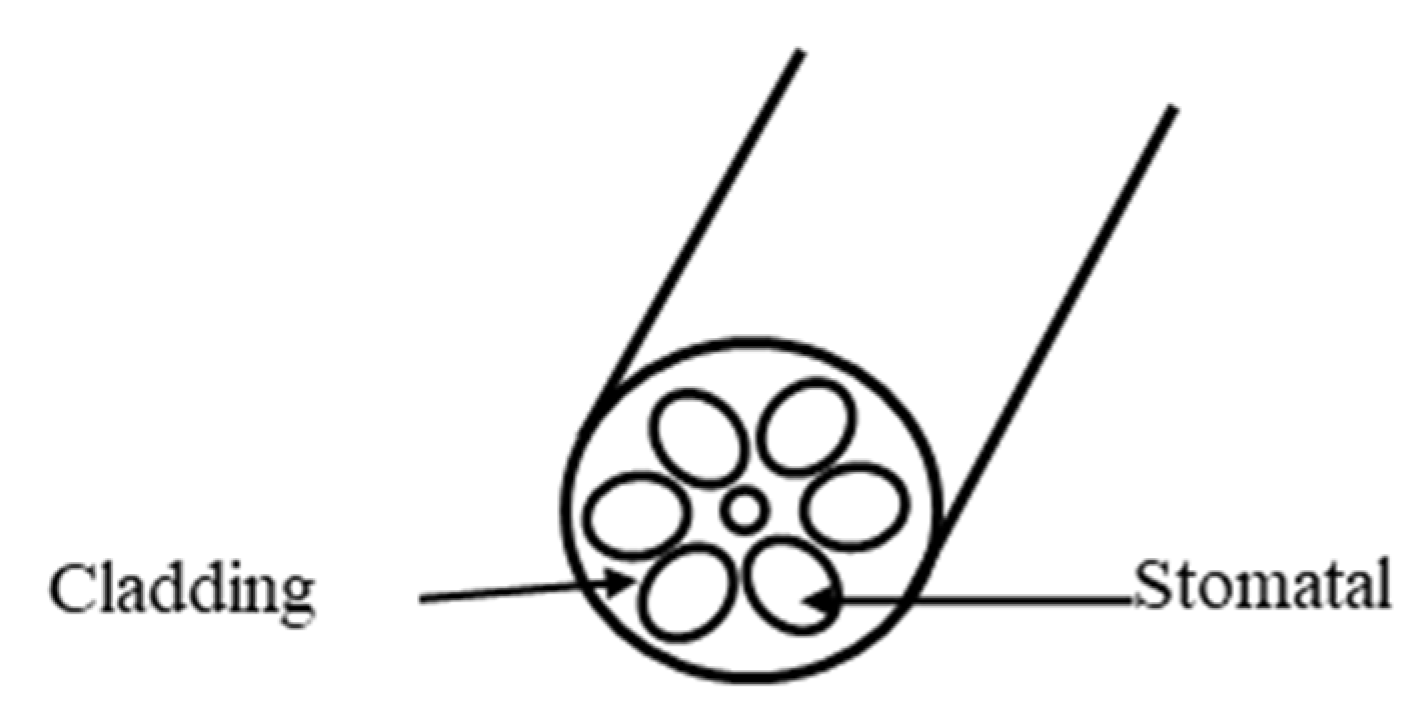 Chemosensors 11 00473 g042