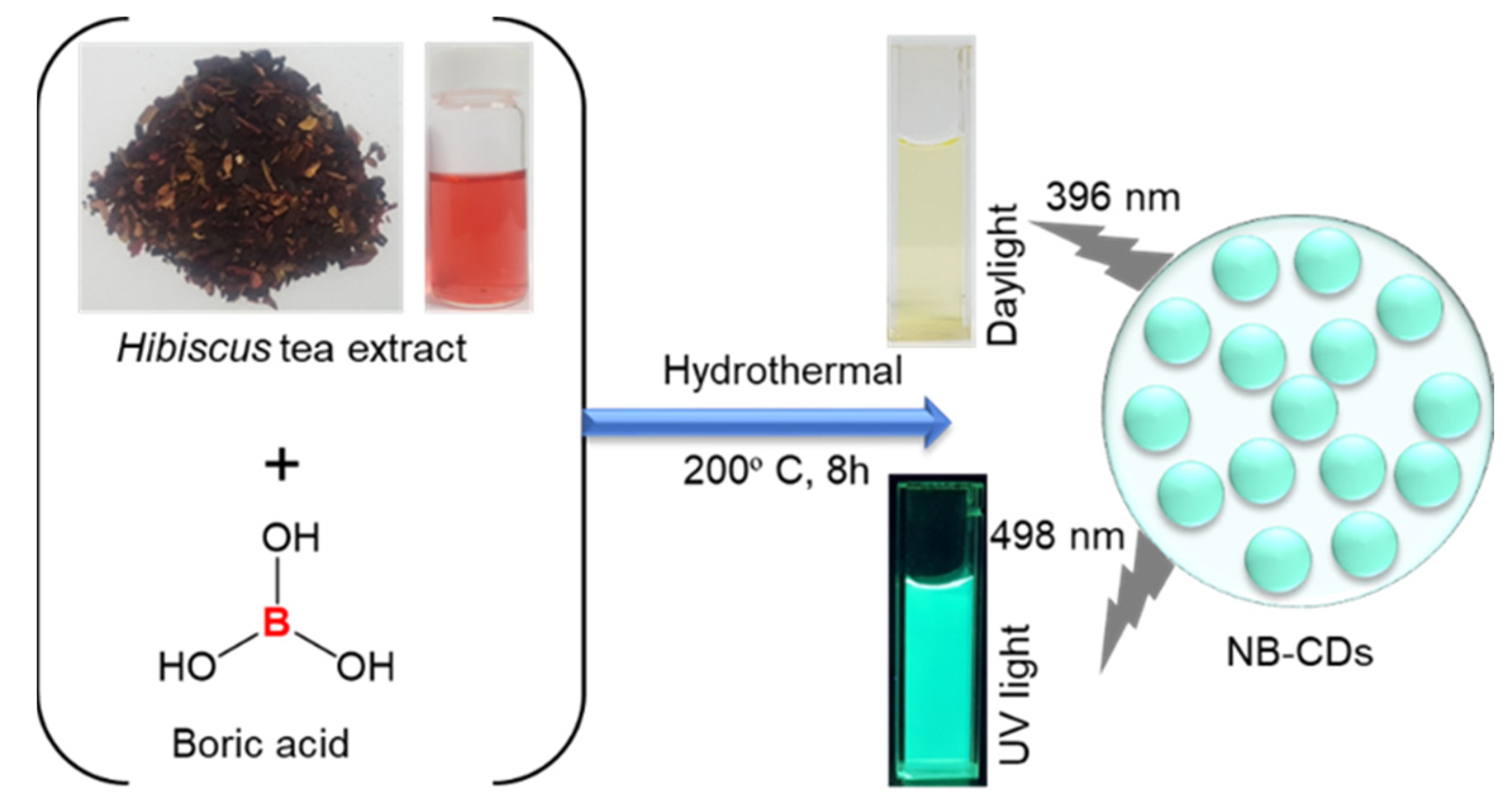 Chemosensors 11 00474 g001