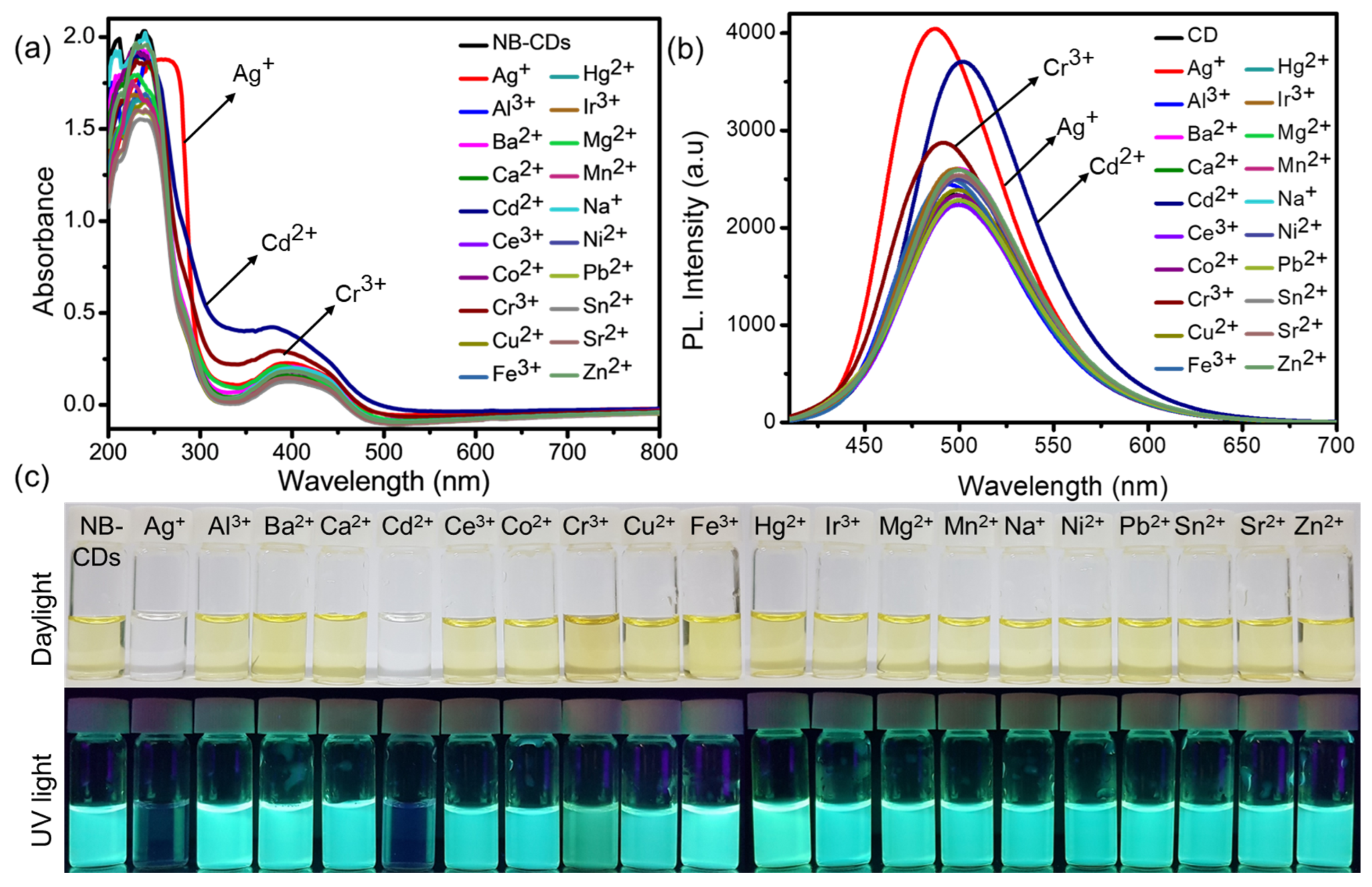 Chemosensors 11 00474 g006