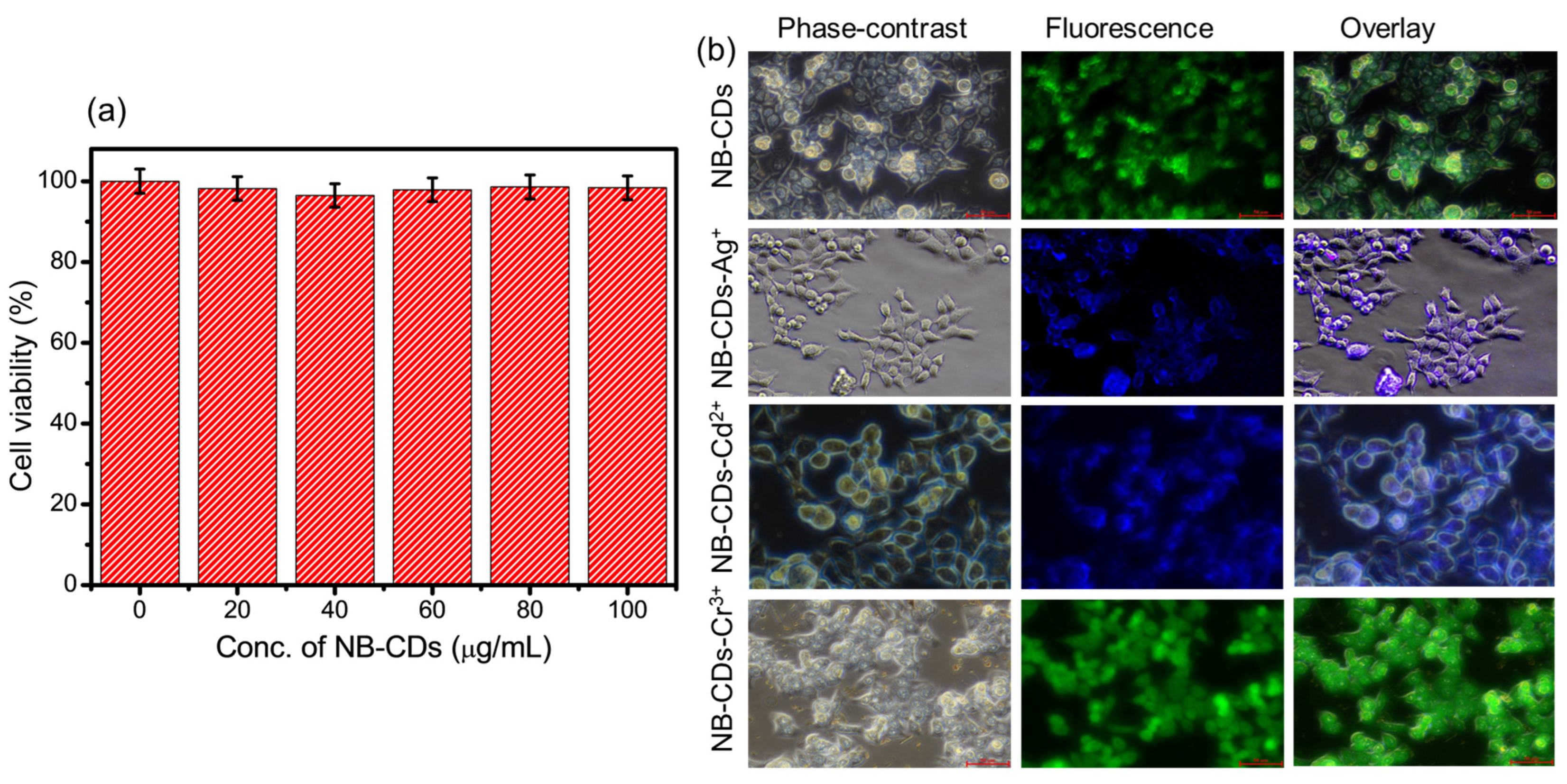 Chemosensors 11 00474 g010