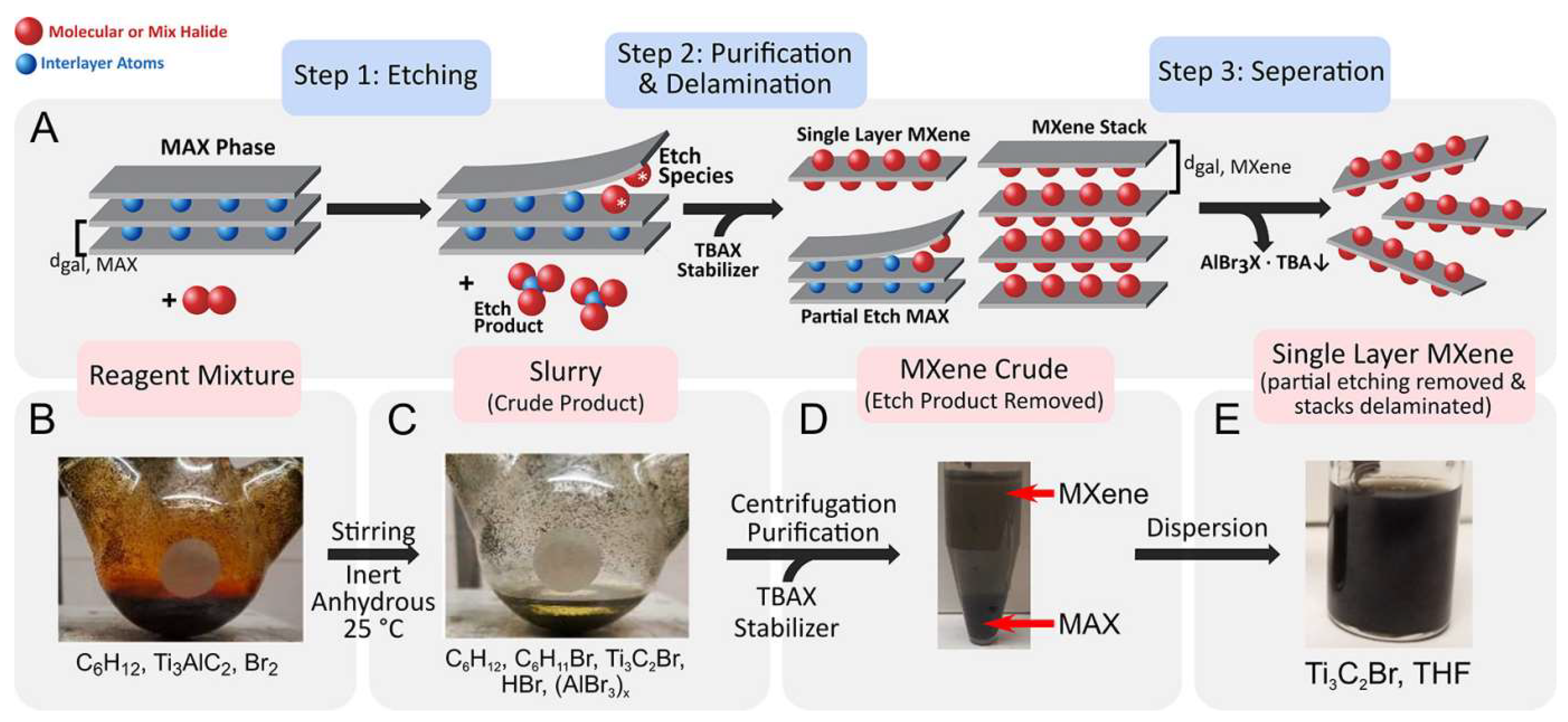 Chemosensors 11 00477 g002