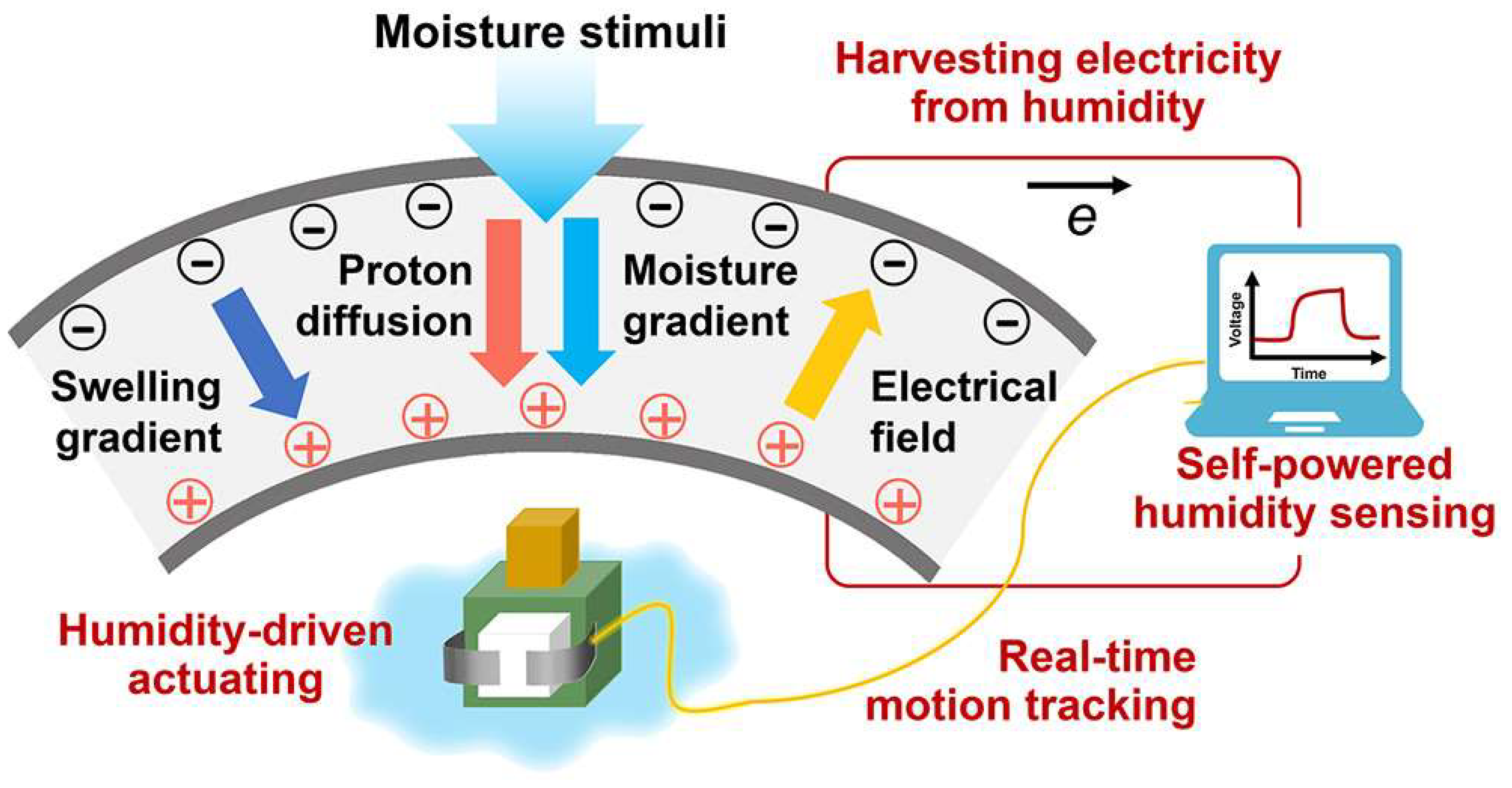 Chemosensors 11 00477 g015