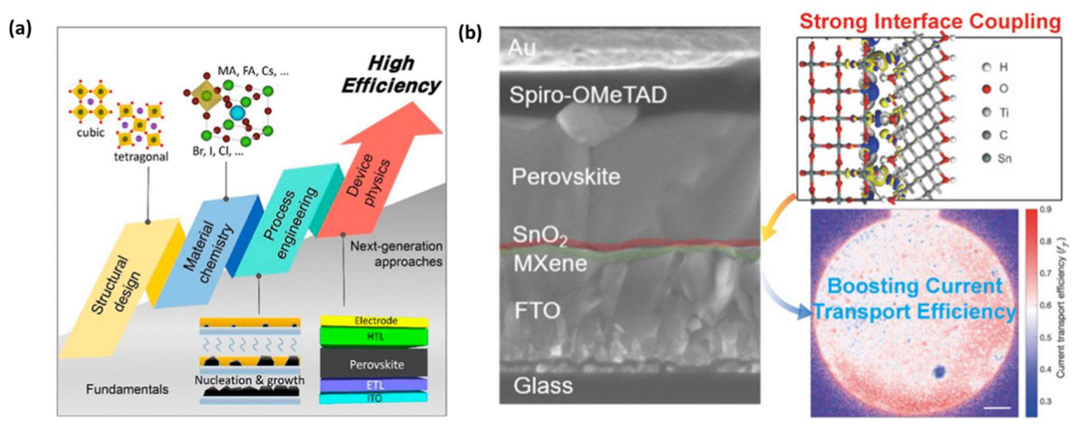 Chemosensors 11 00477 g016