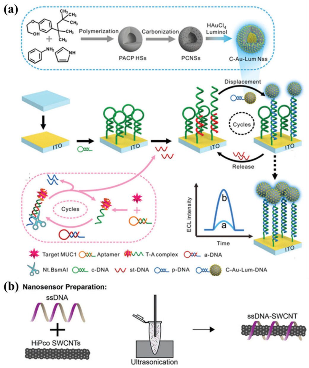 Chemosensors 11 00481 g002