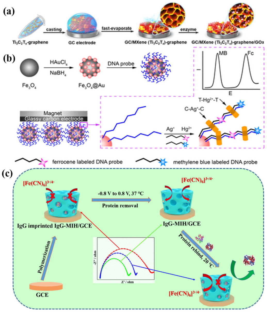Chemosensors 11 00481 g005