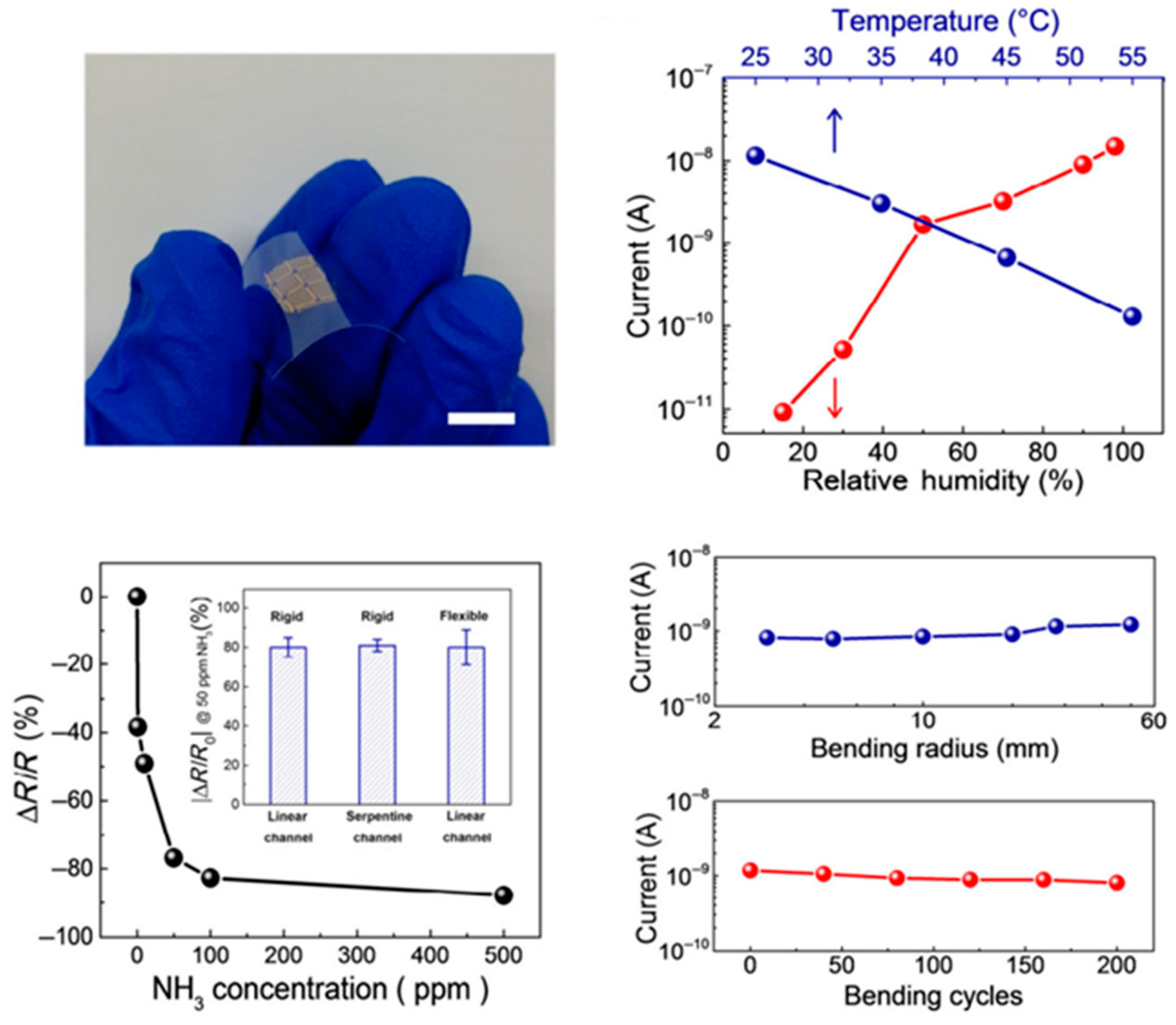 Chemosensors 11 00483 g004