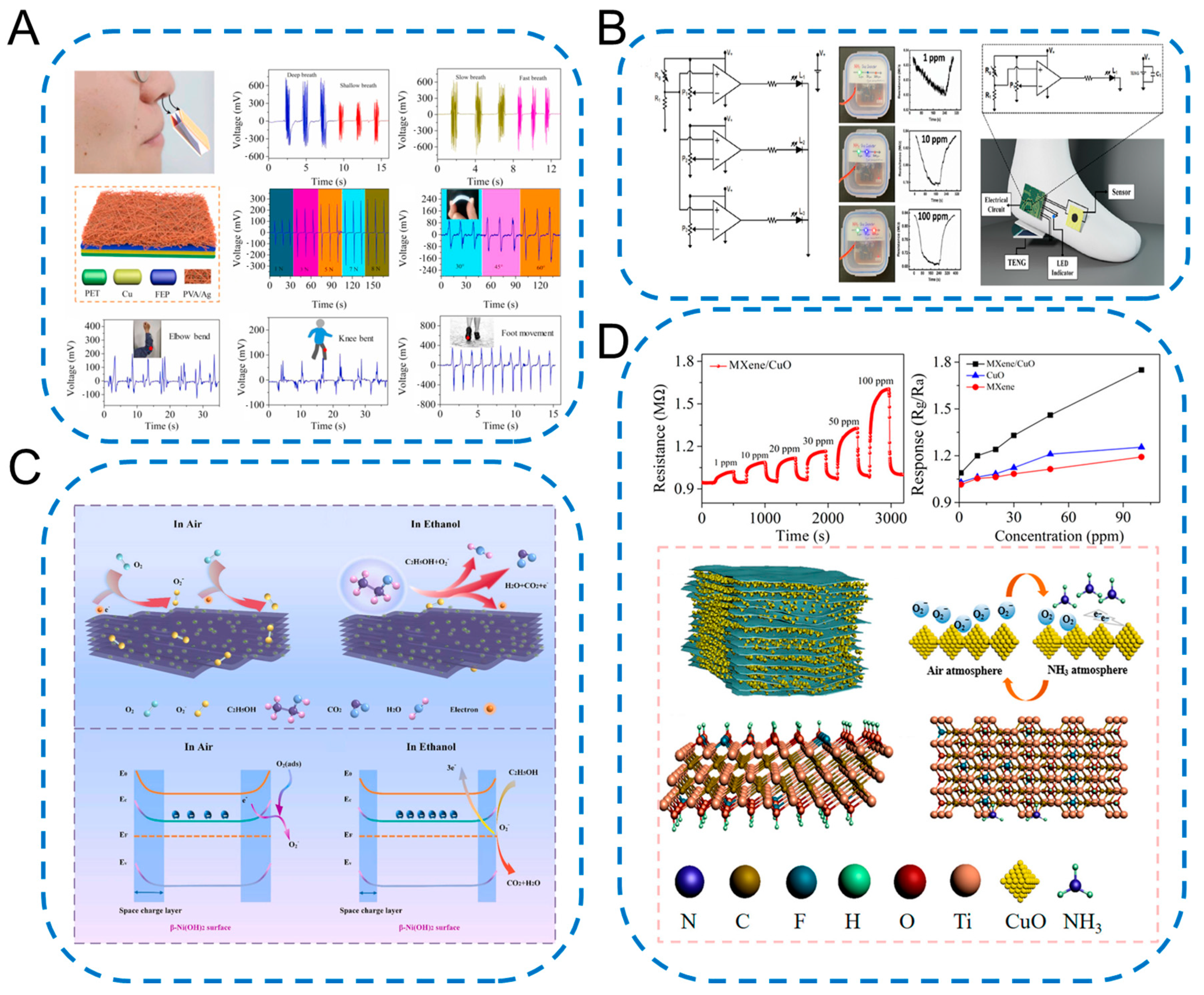 Chemosensors 11 00483 g006
