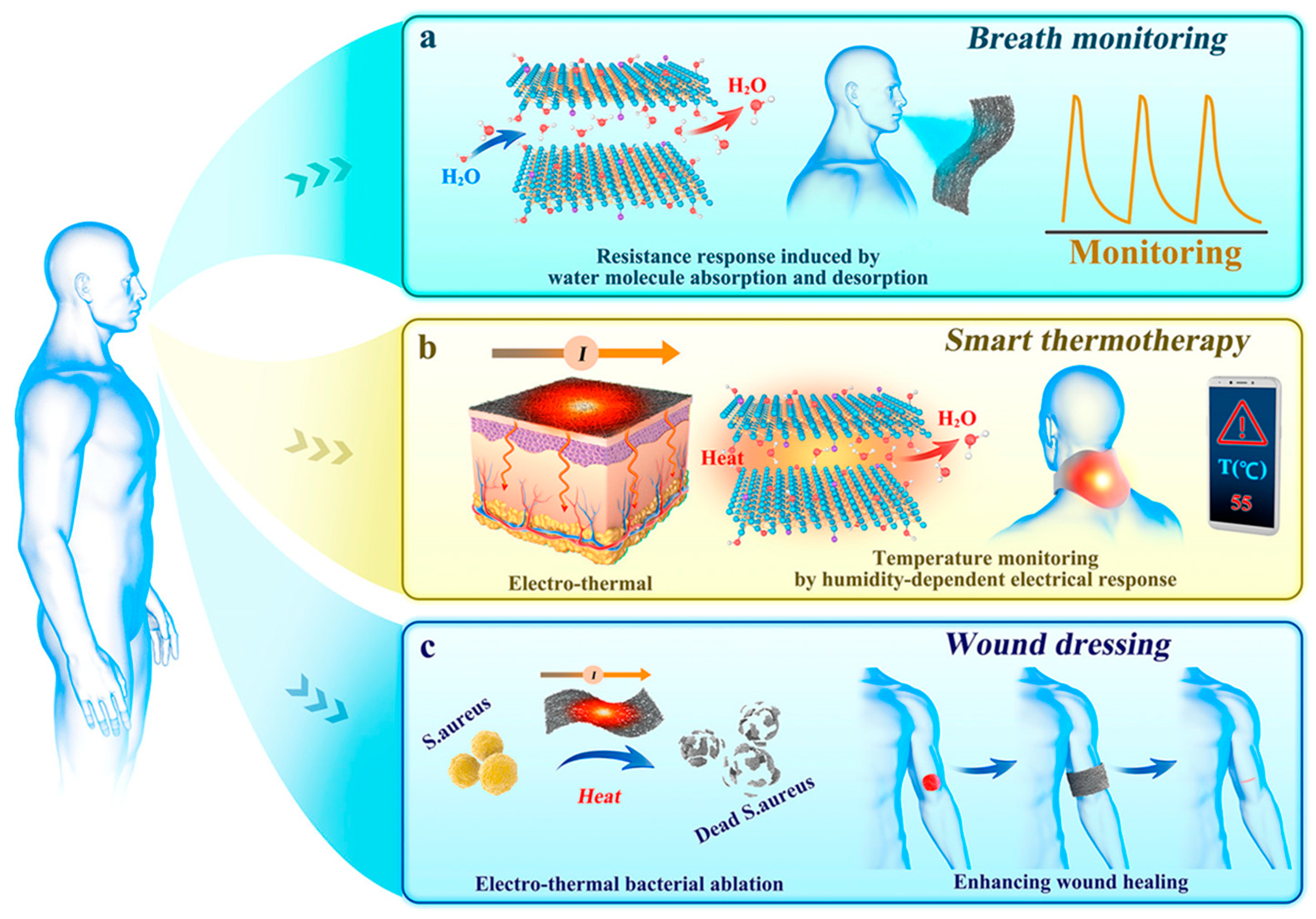 Chemosensors 11 00483 g007