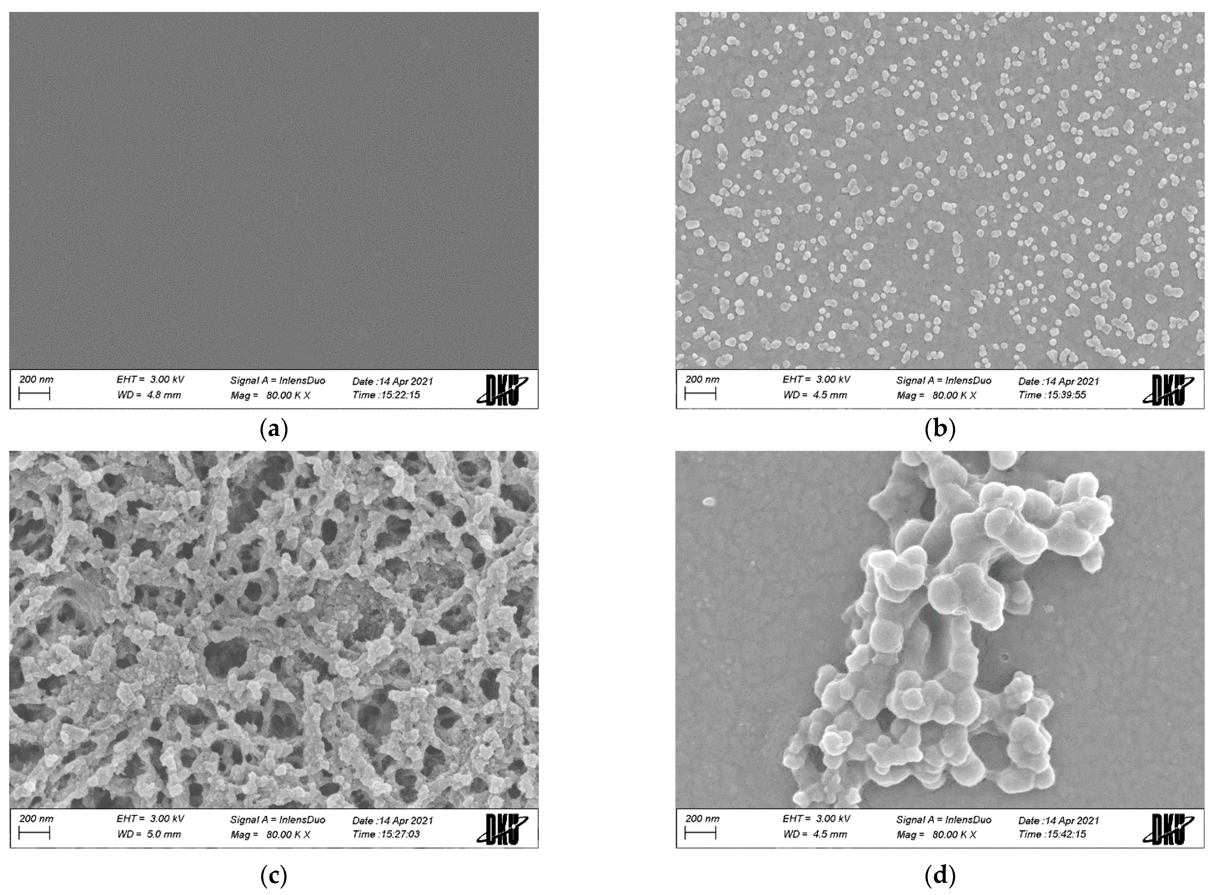 Chemosensors 11 00485 g001