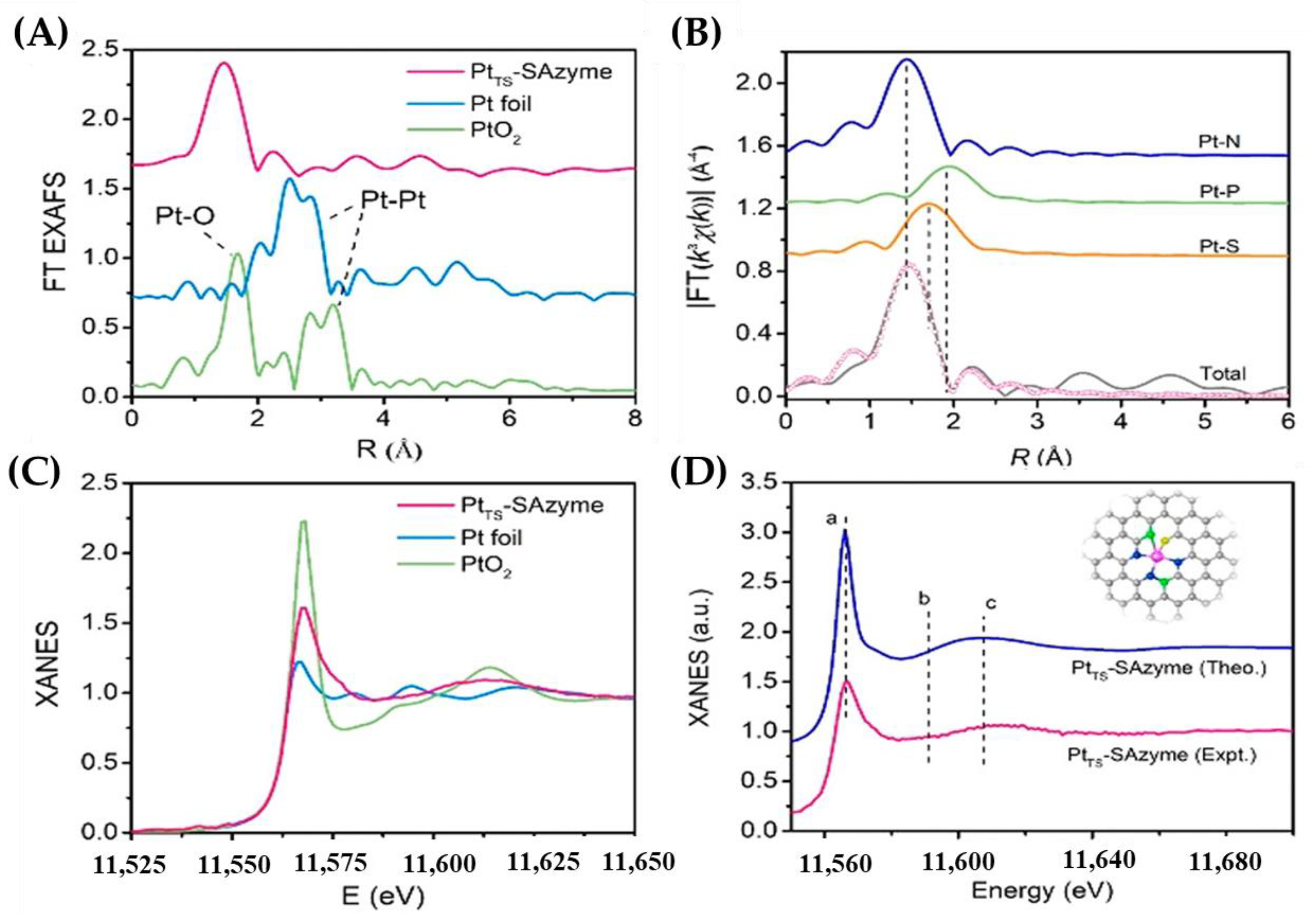 Chemosensors 11 00486 g003