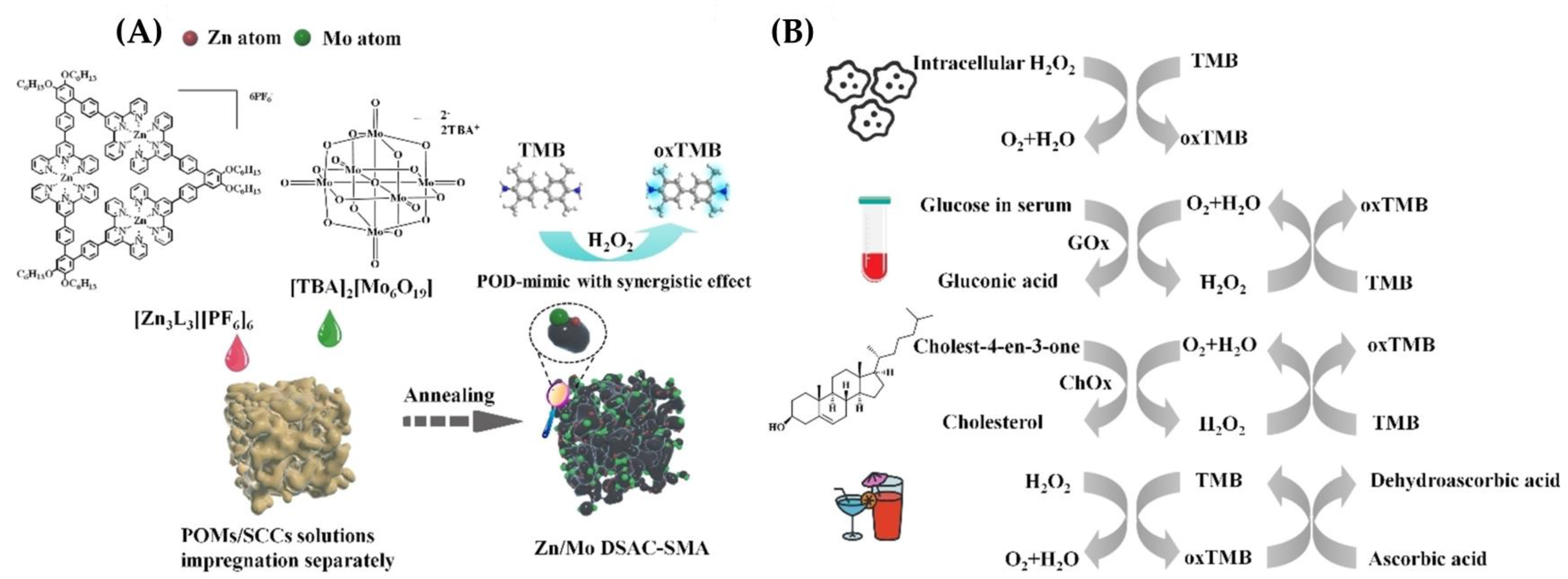 Chemosensors 11 00486 g005