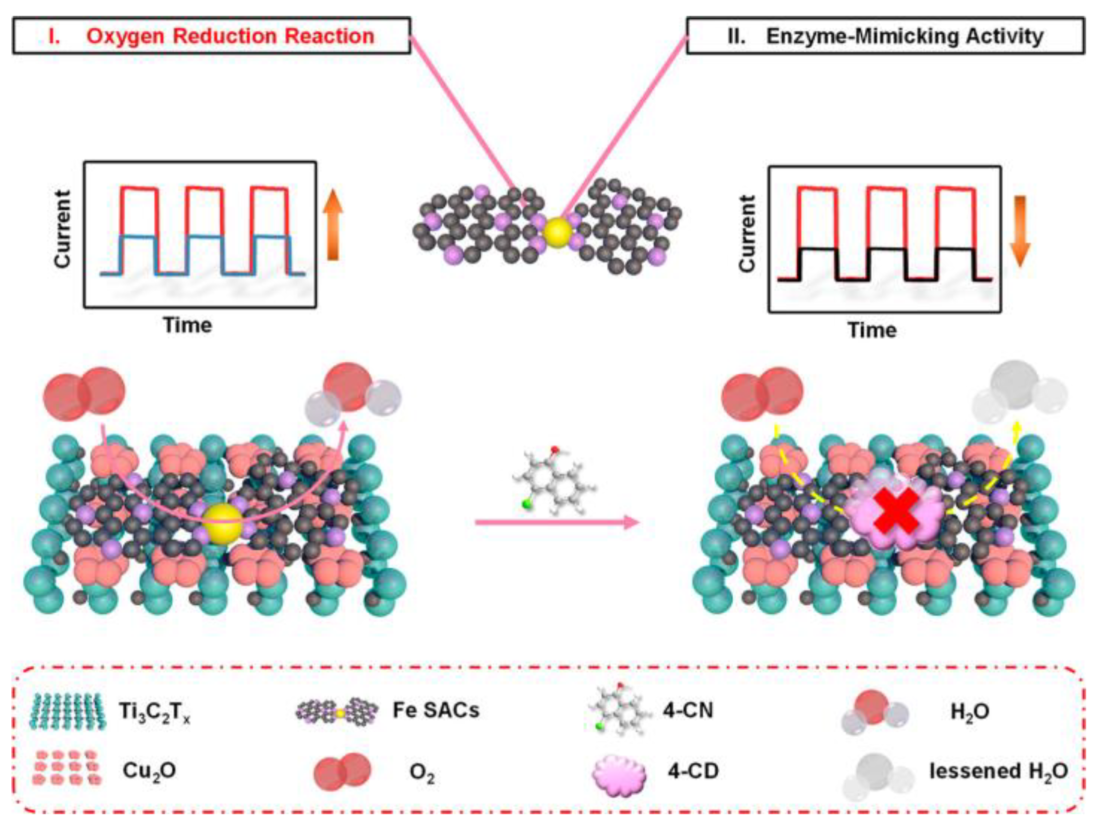 Chemosensors 11 00486 g010
