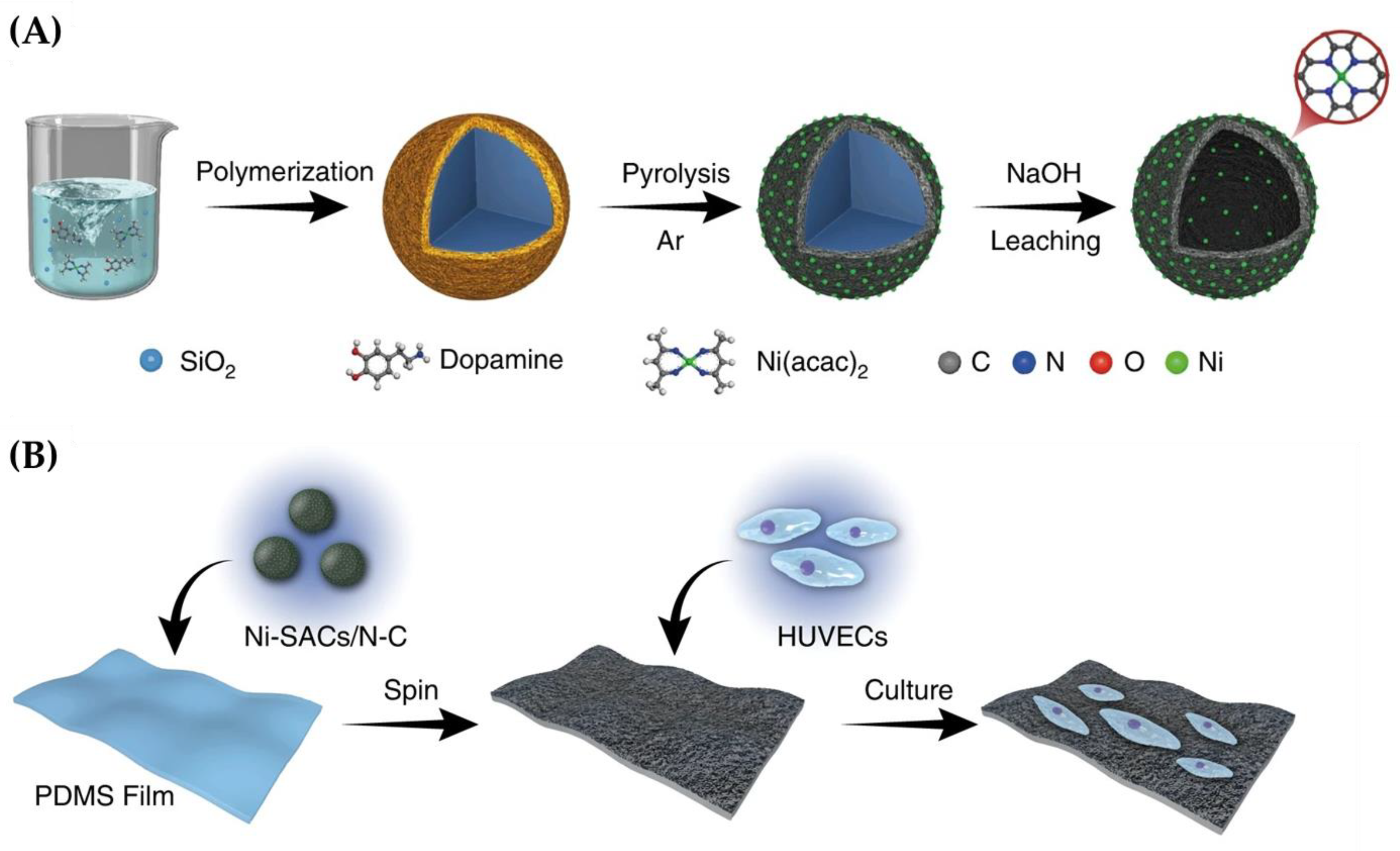 Chemosensors 11 00486 g011