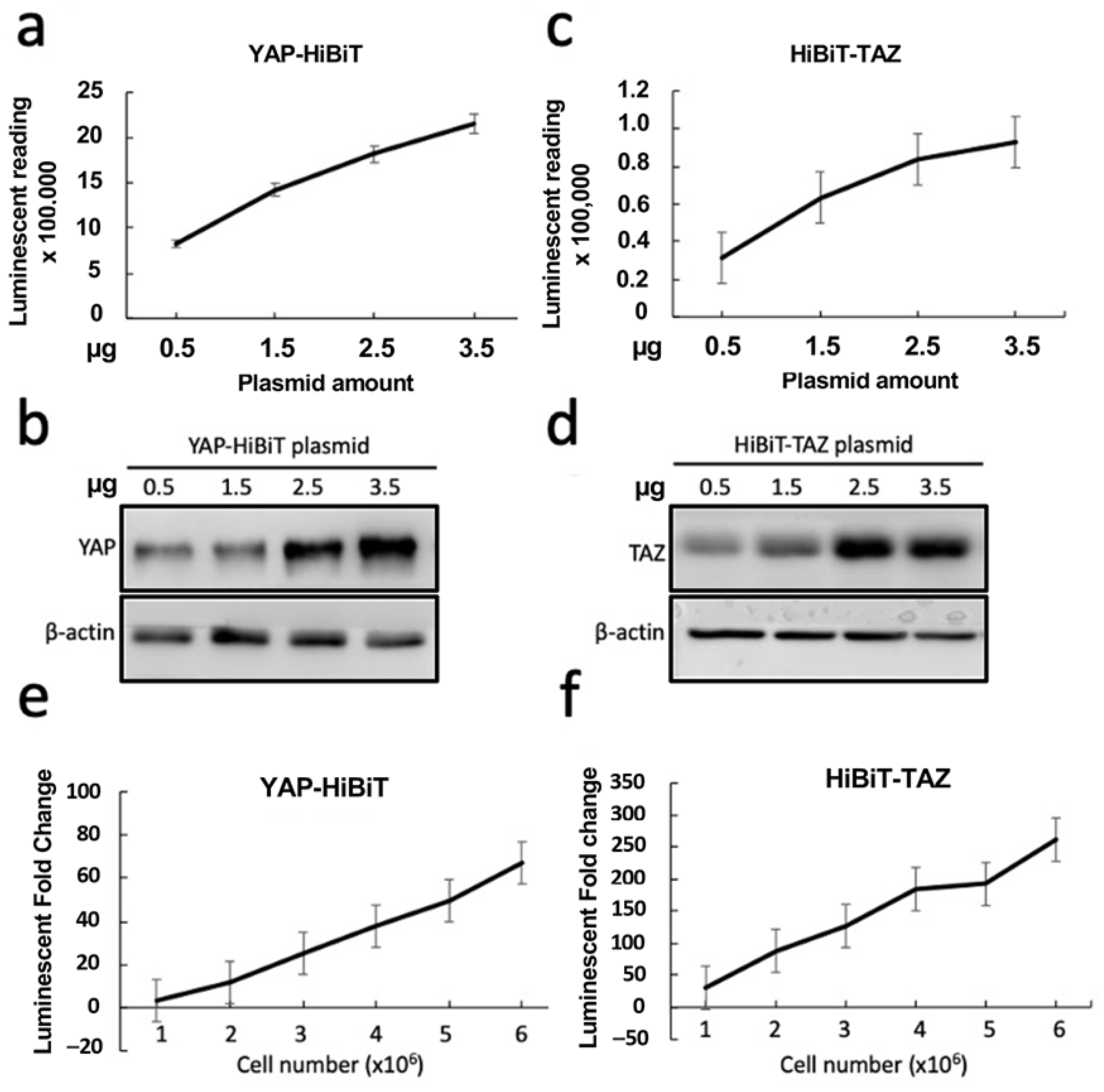 Chemosensors 11 00492 g003