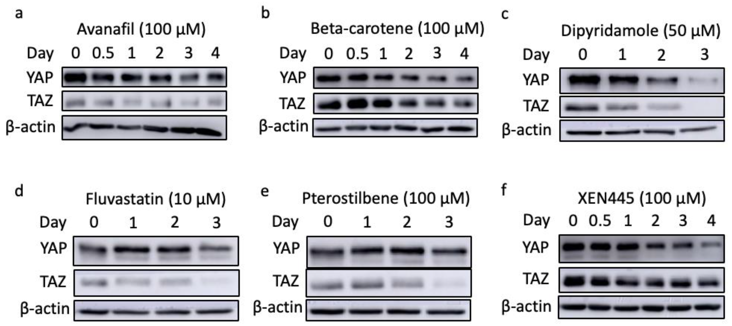 Chemosensors 11 00492 g006
