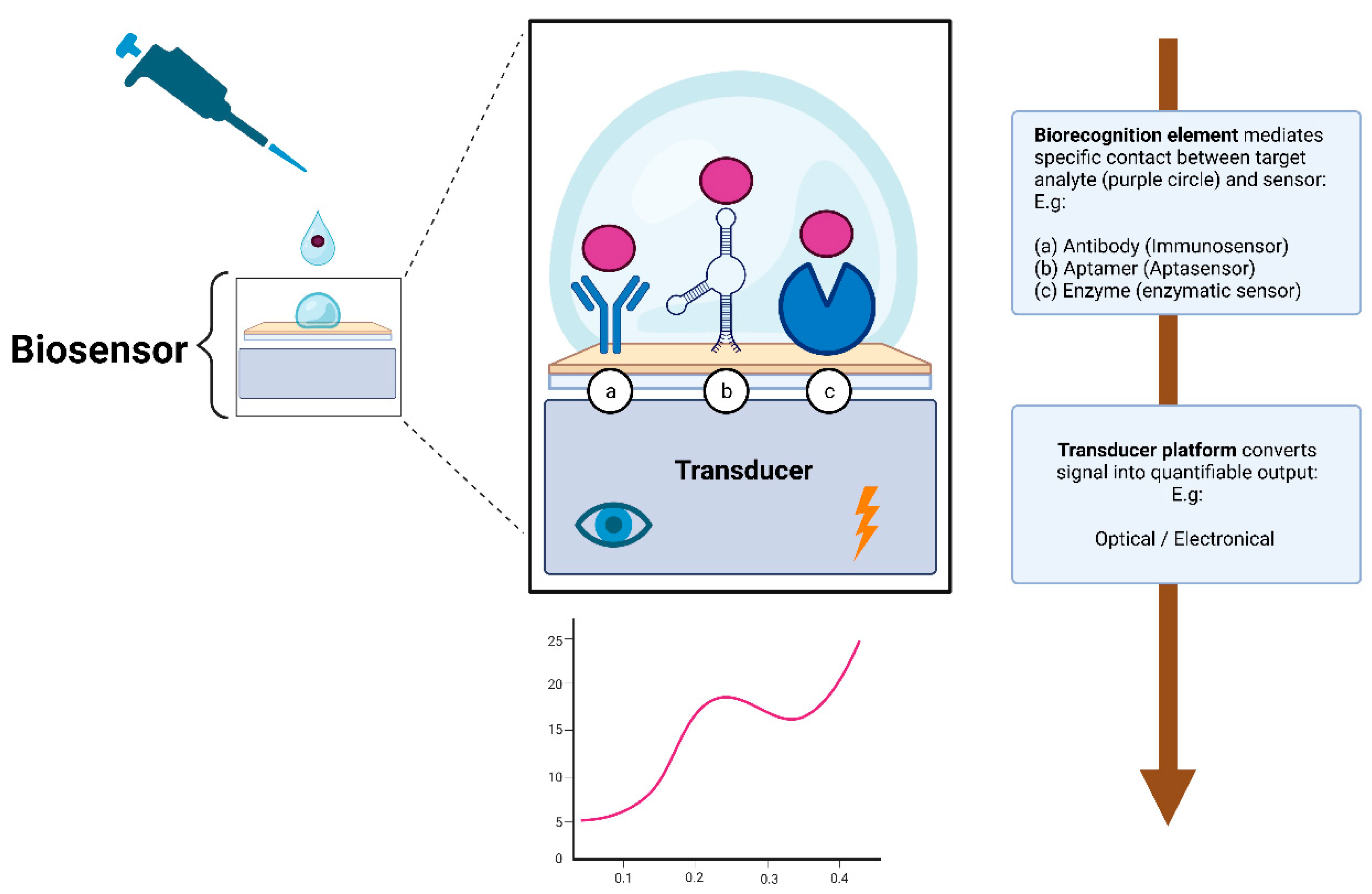 Chemosensors 11 00493 g002