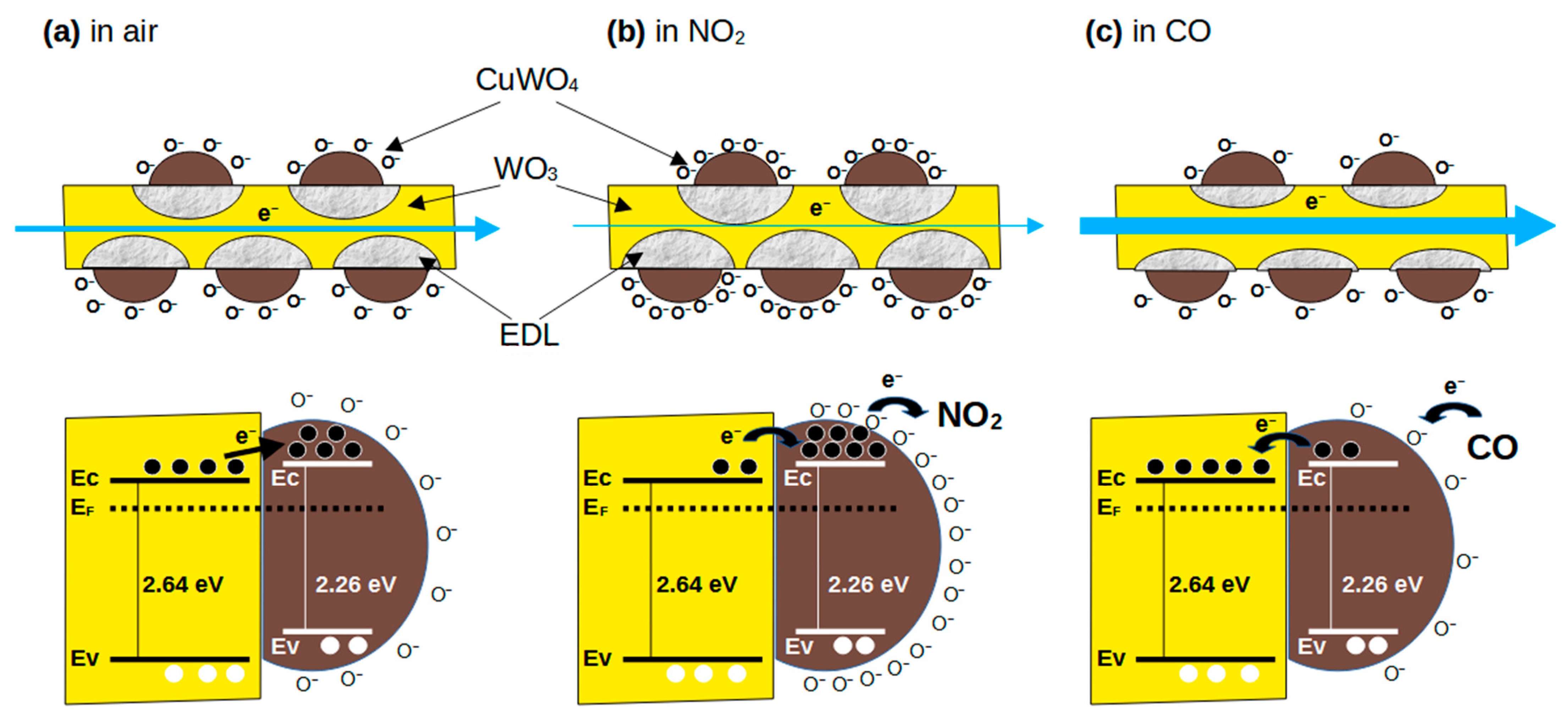 Chemosensors 11 00495 g013