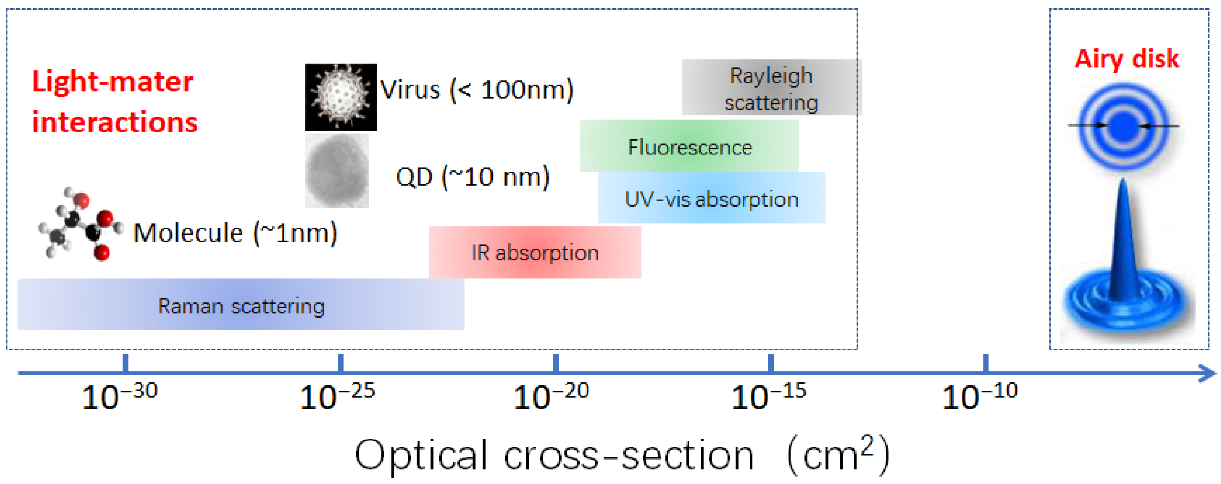 Chemosensors 11 00497 g001