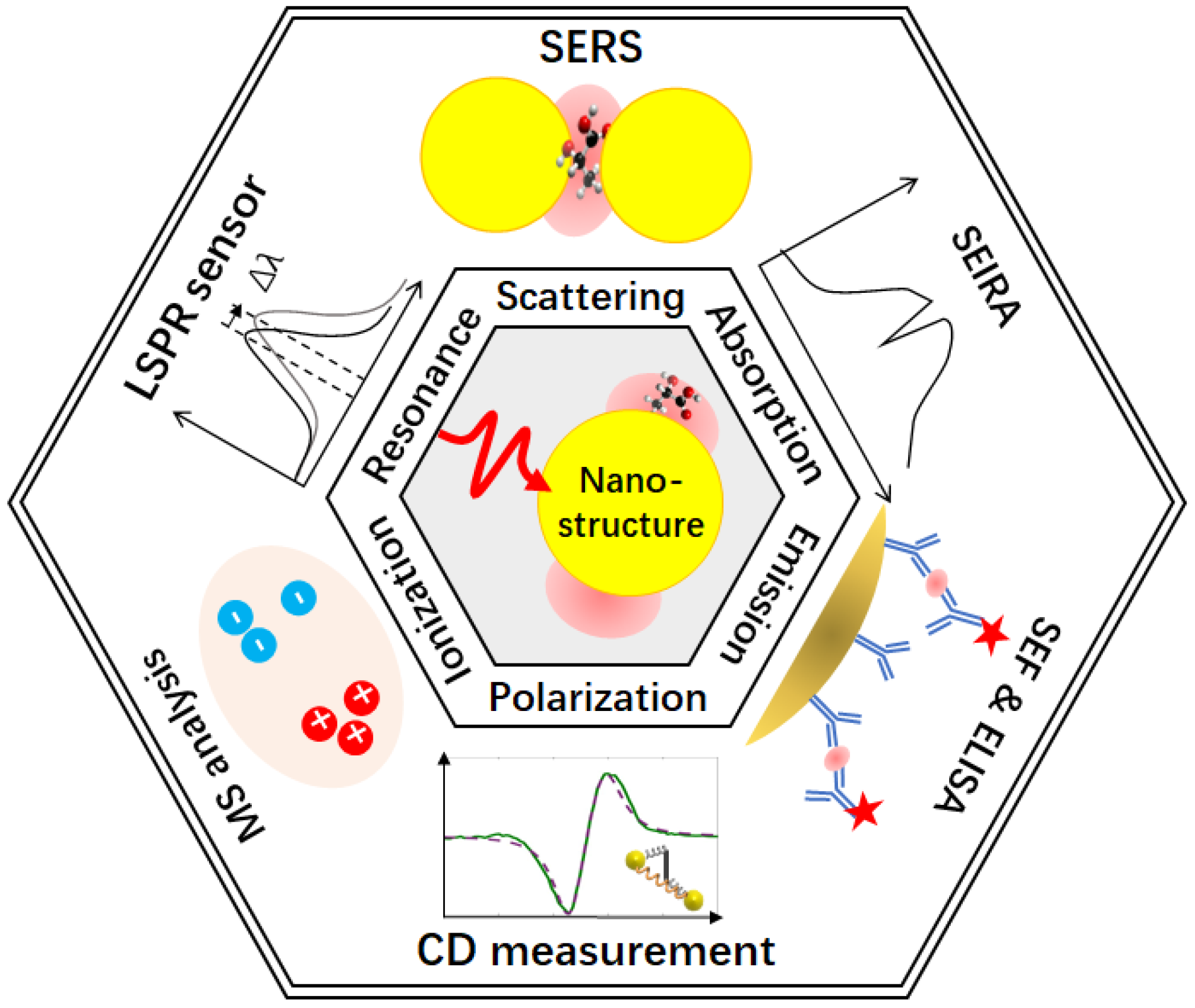 Chemosensors 11 00497 g002