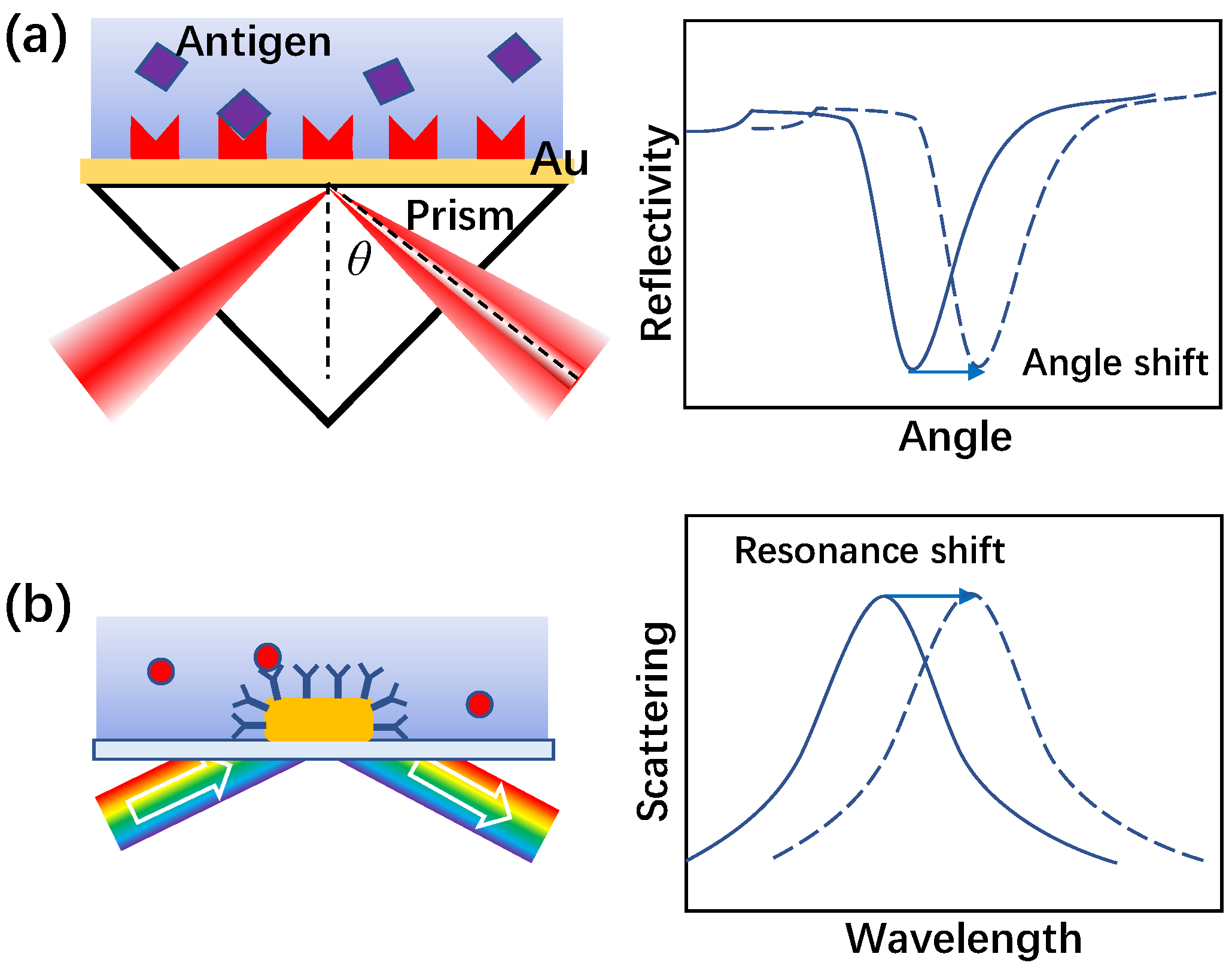 Chemosensors 11 00497 g006