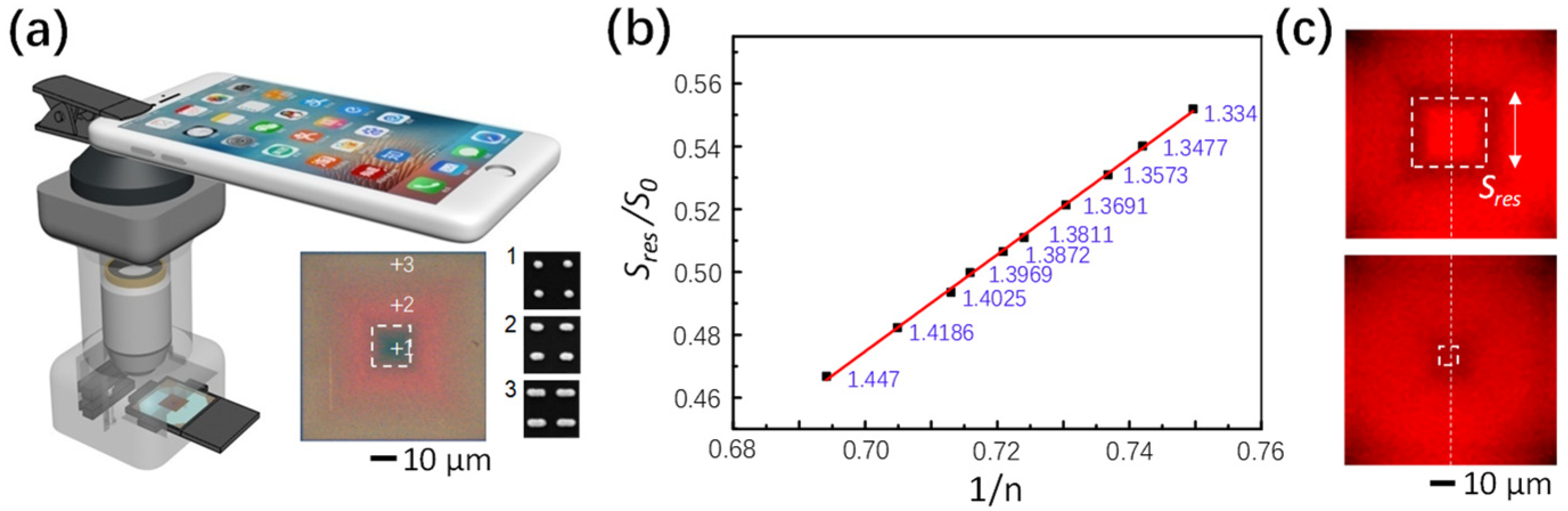 Chemosensors 11 00497 g008