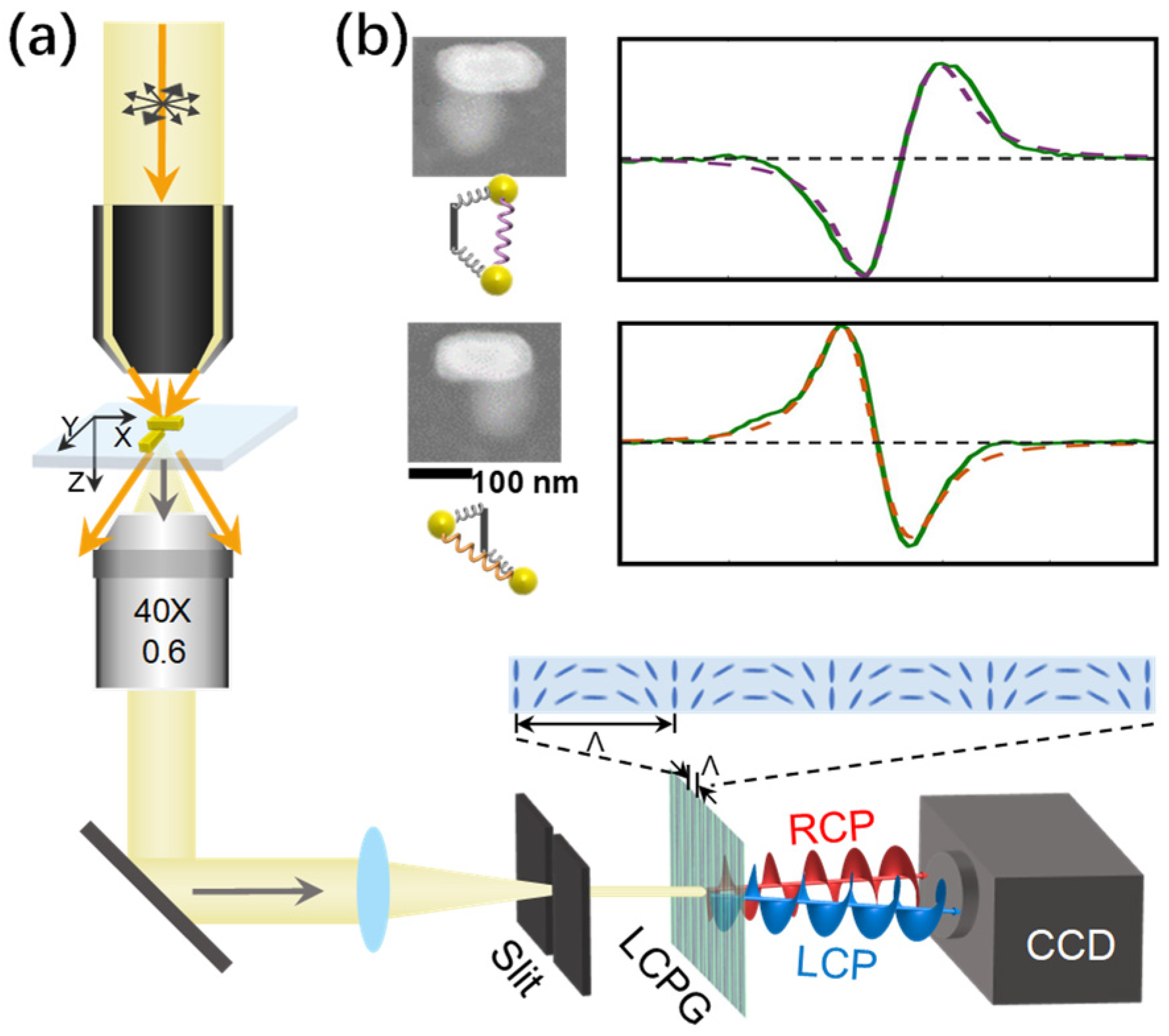 Chemosensors 11 00497 g009