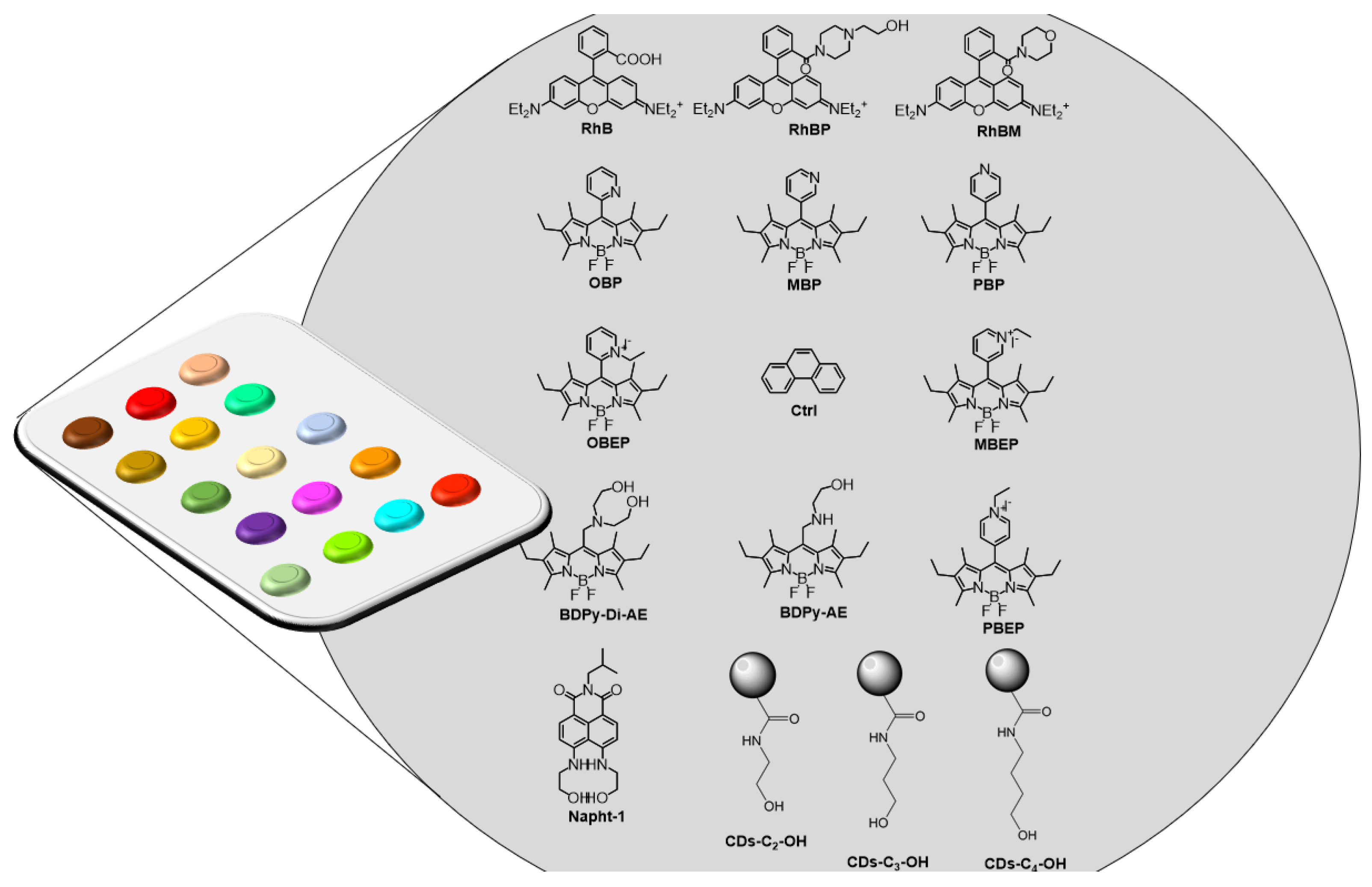 Chemosensors 11 00503 g002