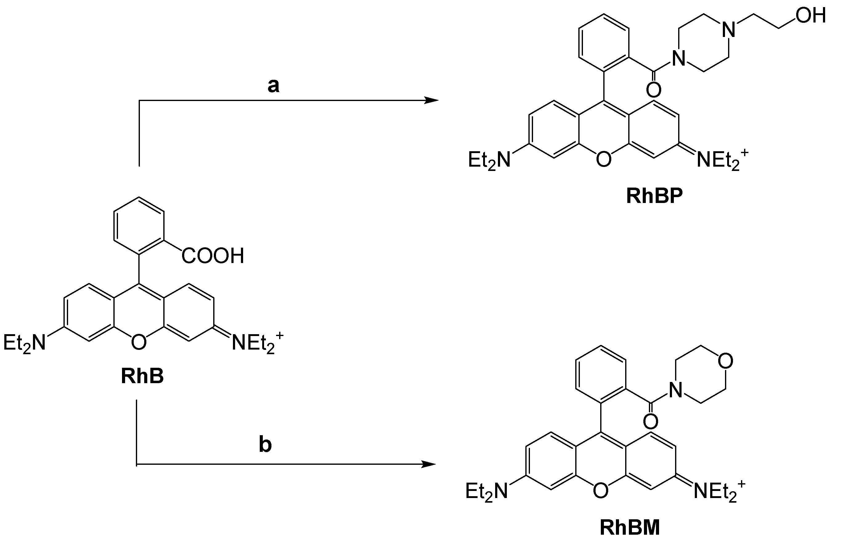 Chemosensors 11 00503 sch001