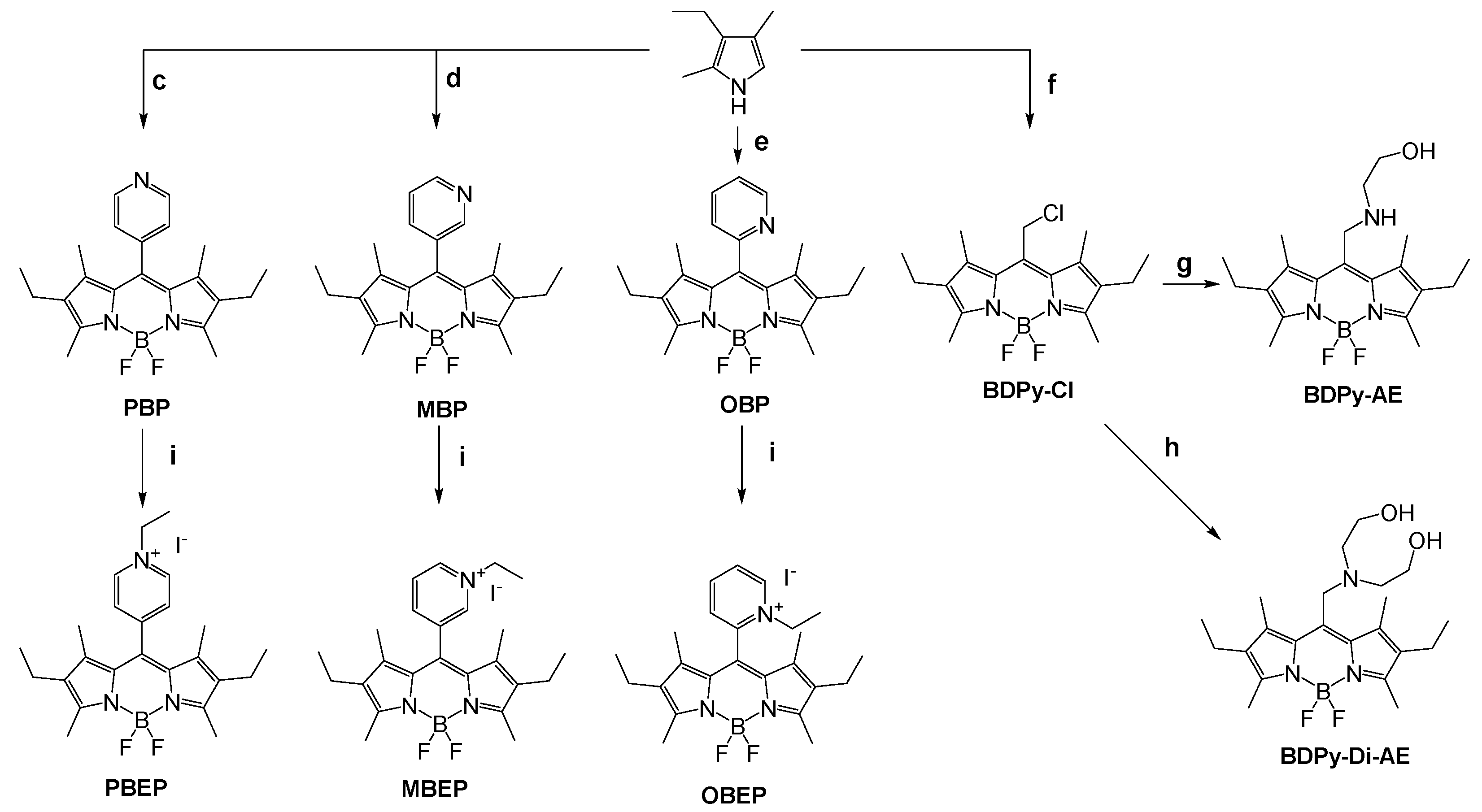 Chemosensors 11 00503 sch002
