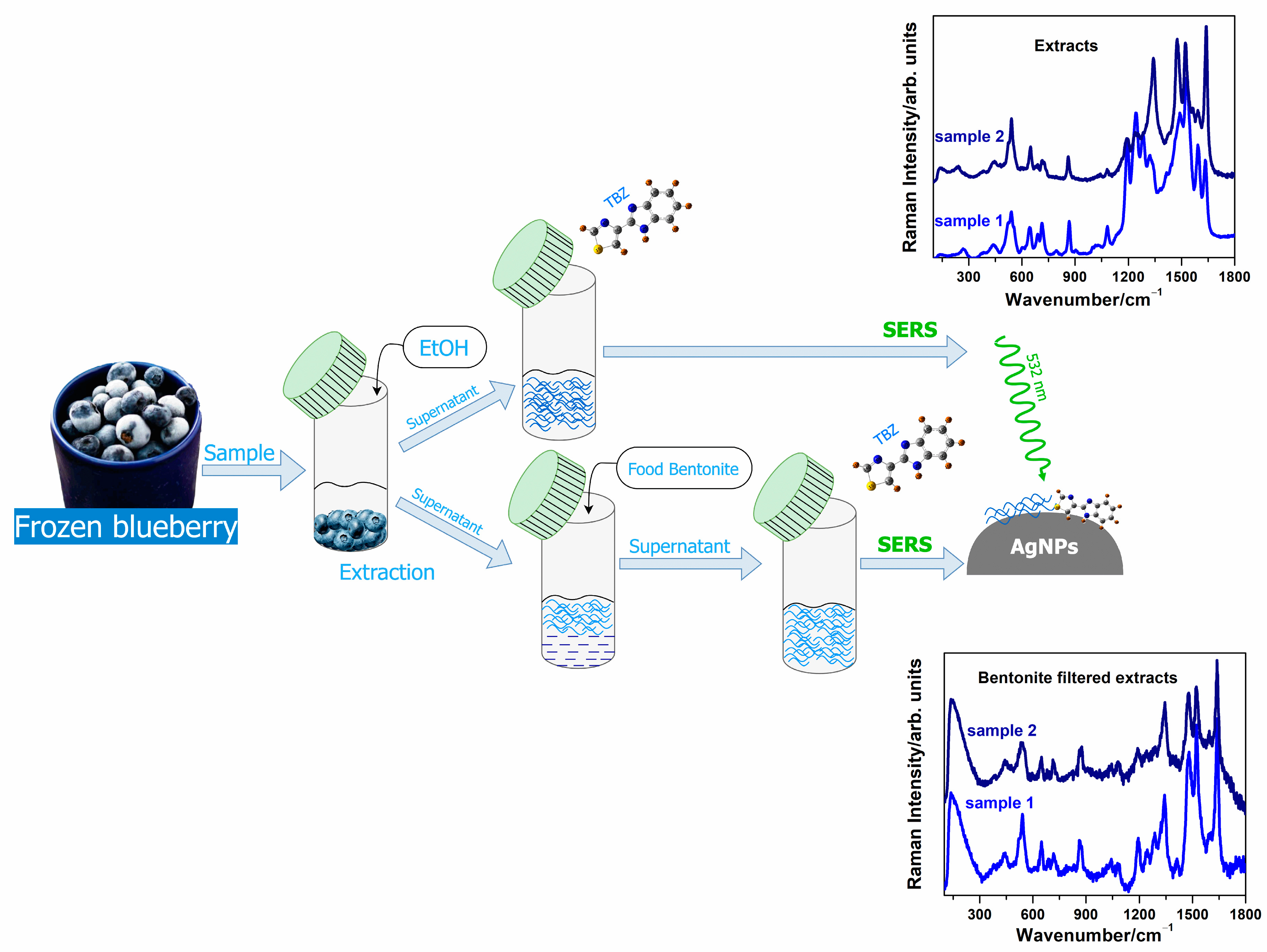 Chemosensors 11 00505 g001